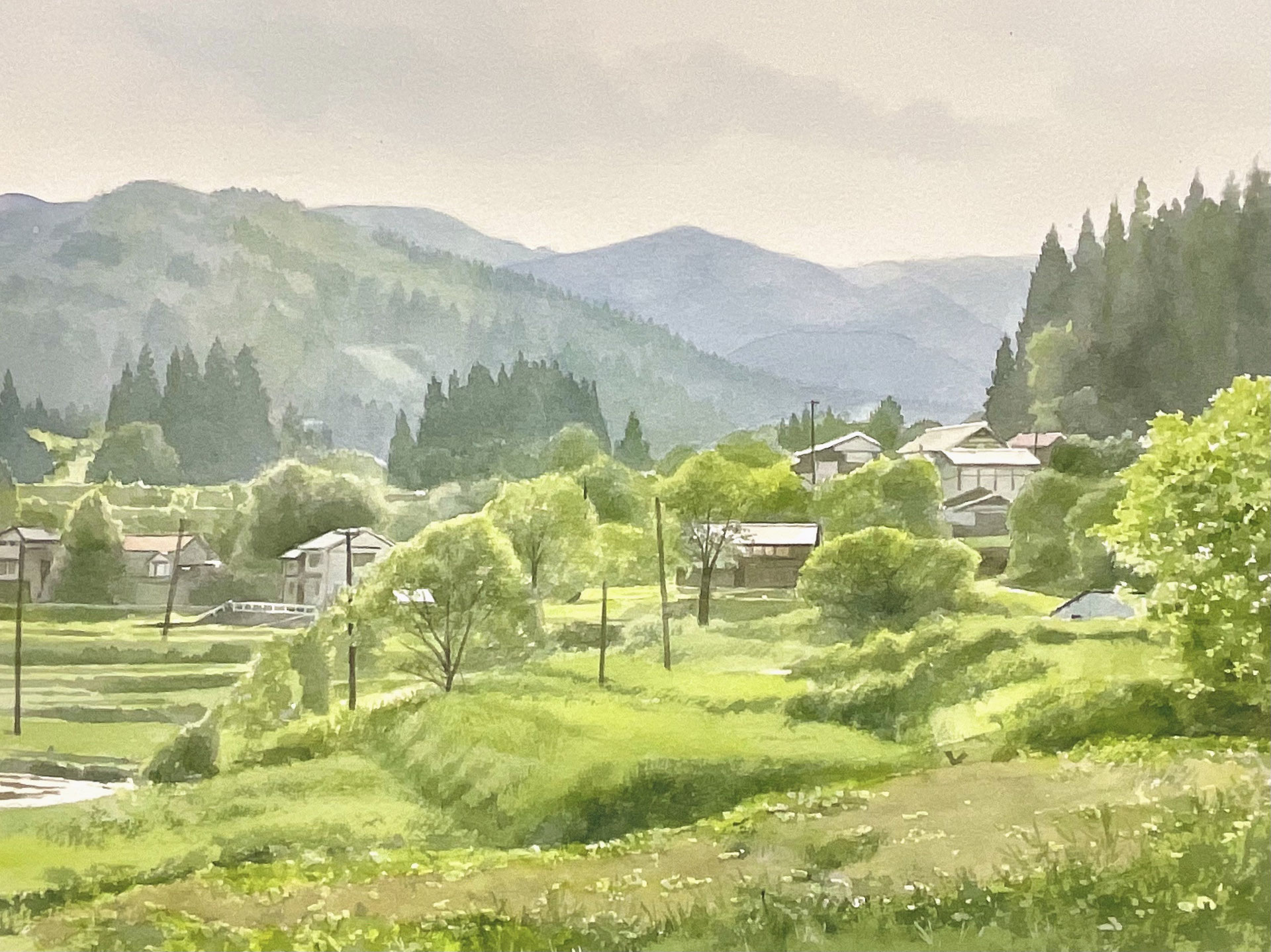 No.3【紀美野の水田里風景】 里山と水田が織りなす風景に魅せられて【日本の棚田百選/信越
