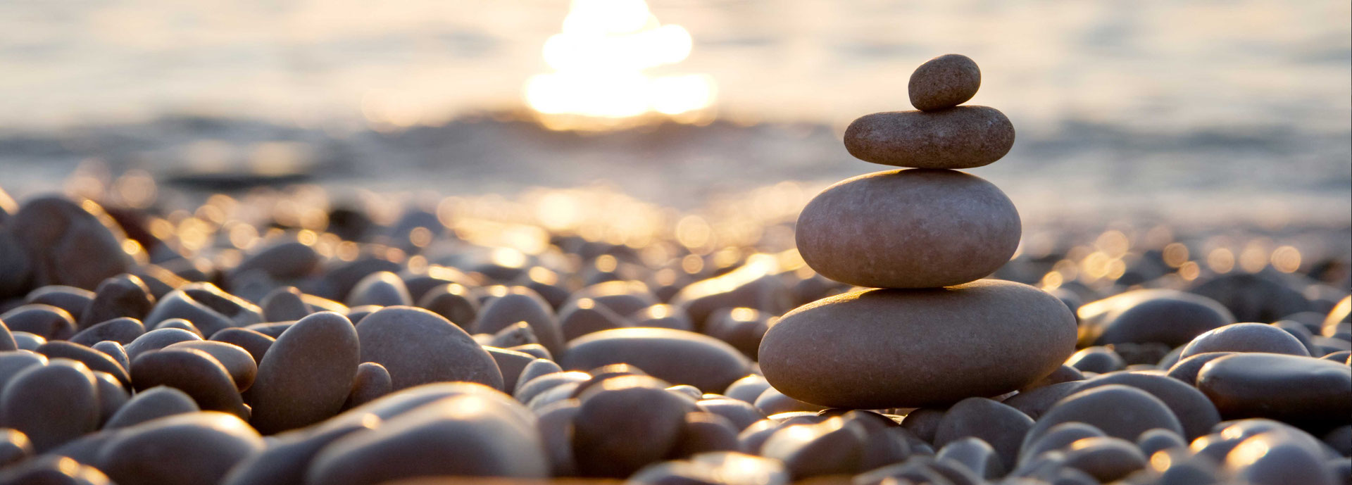 Informationen suvozo.ch