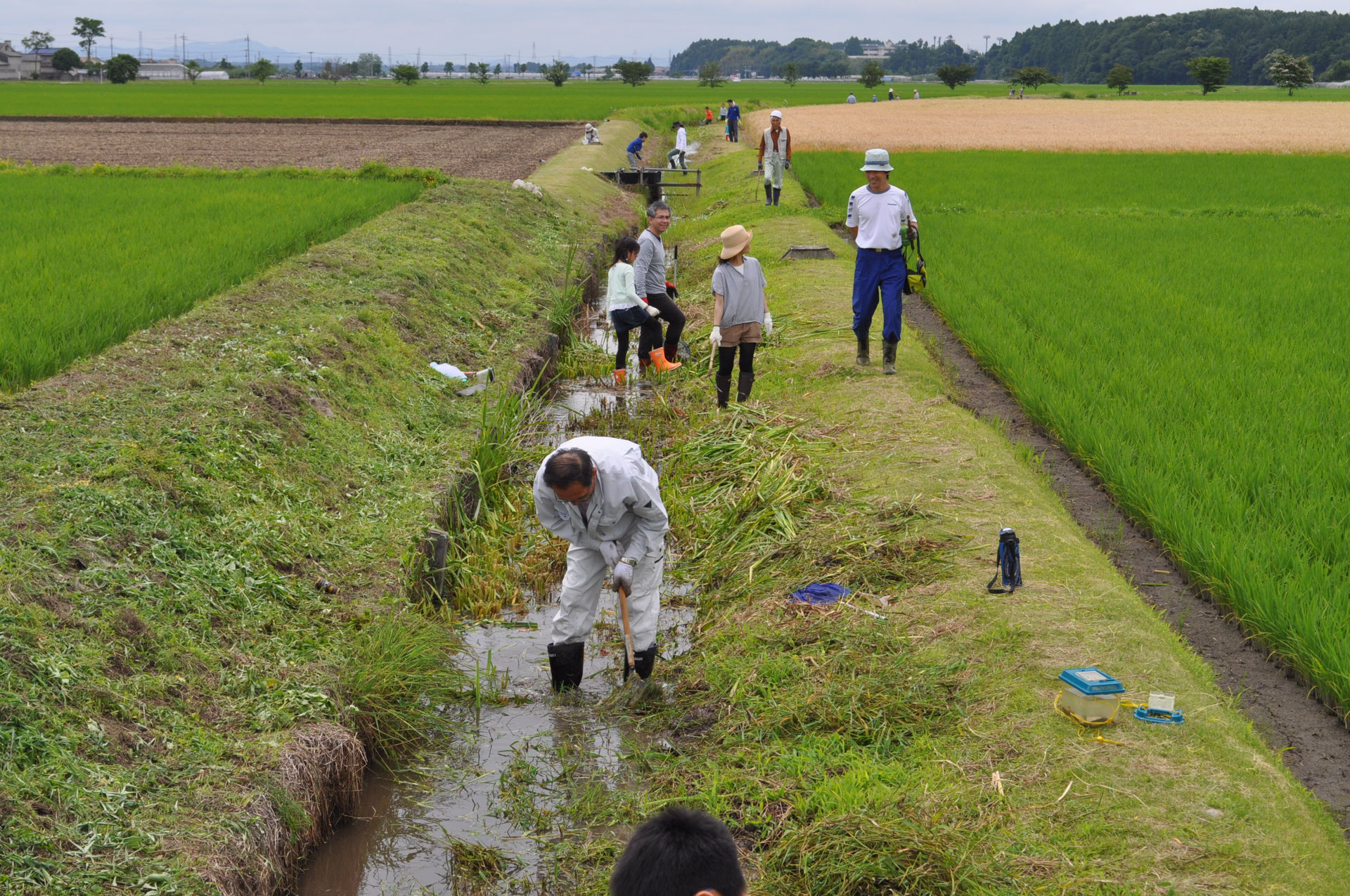 水田生態系保全水路とは gwnishikinu ページ！
