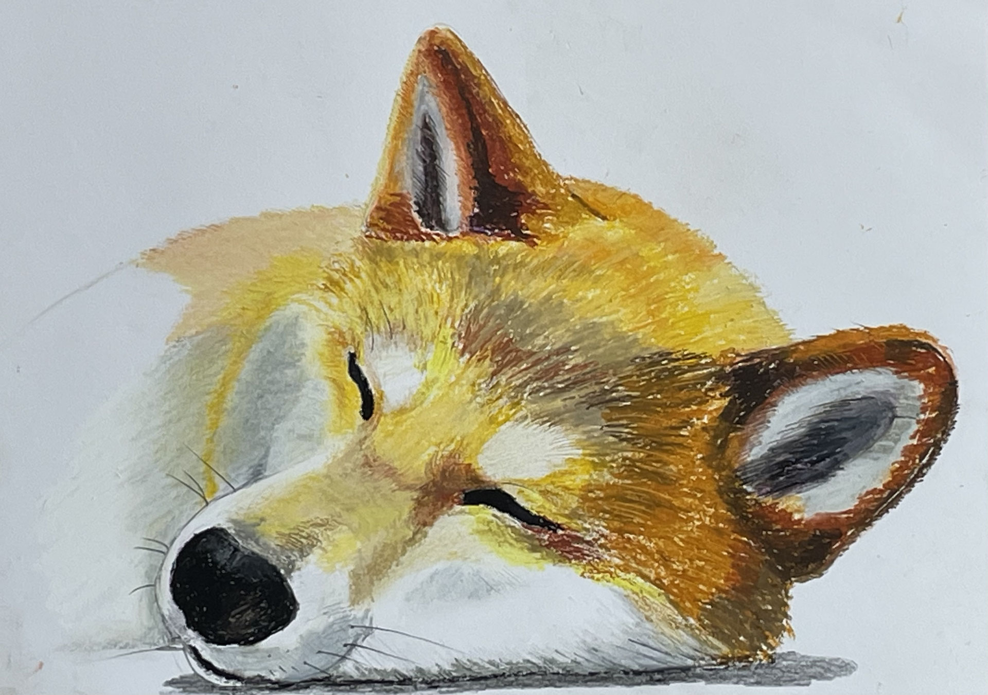 ハンドメイド　絵画　クレパス　犬 クレパス画 「犬」 - メルカリ