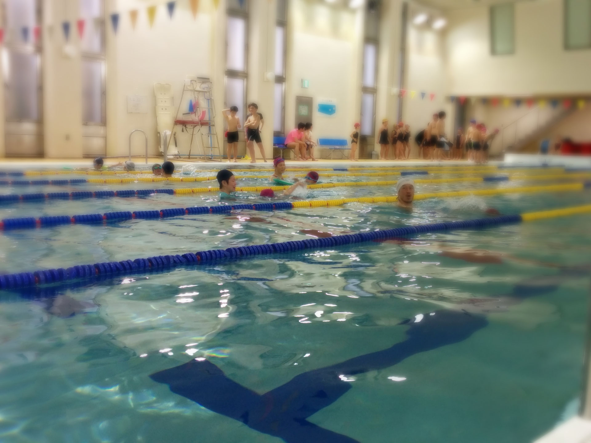 オルカ水泳クラブとは オルカ水泳クラブ