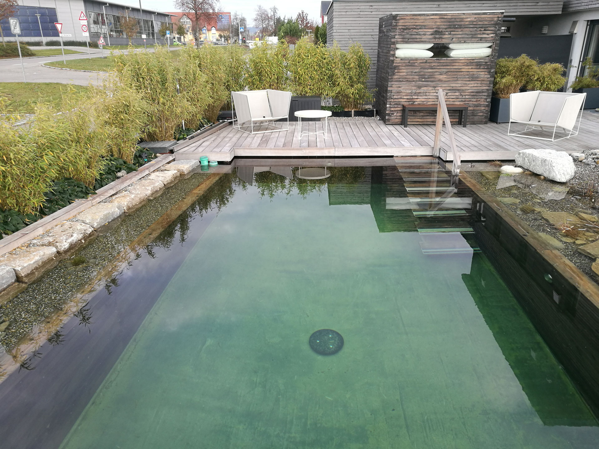 Schwimmteich Gartengestaltung und Garten und Landschaftsbau