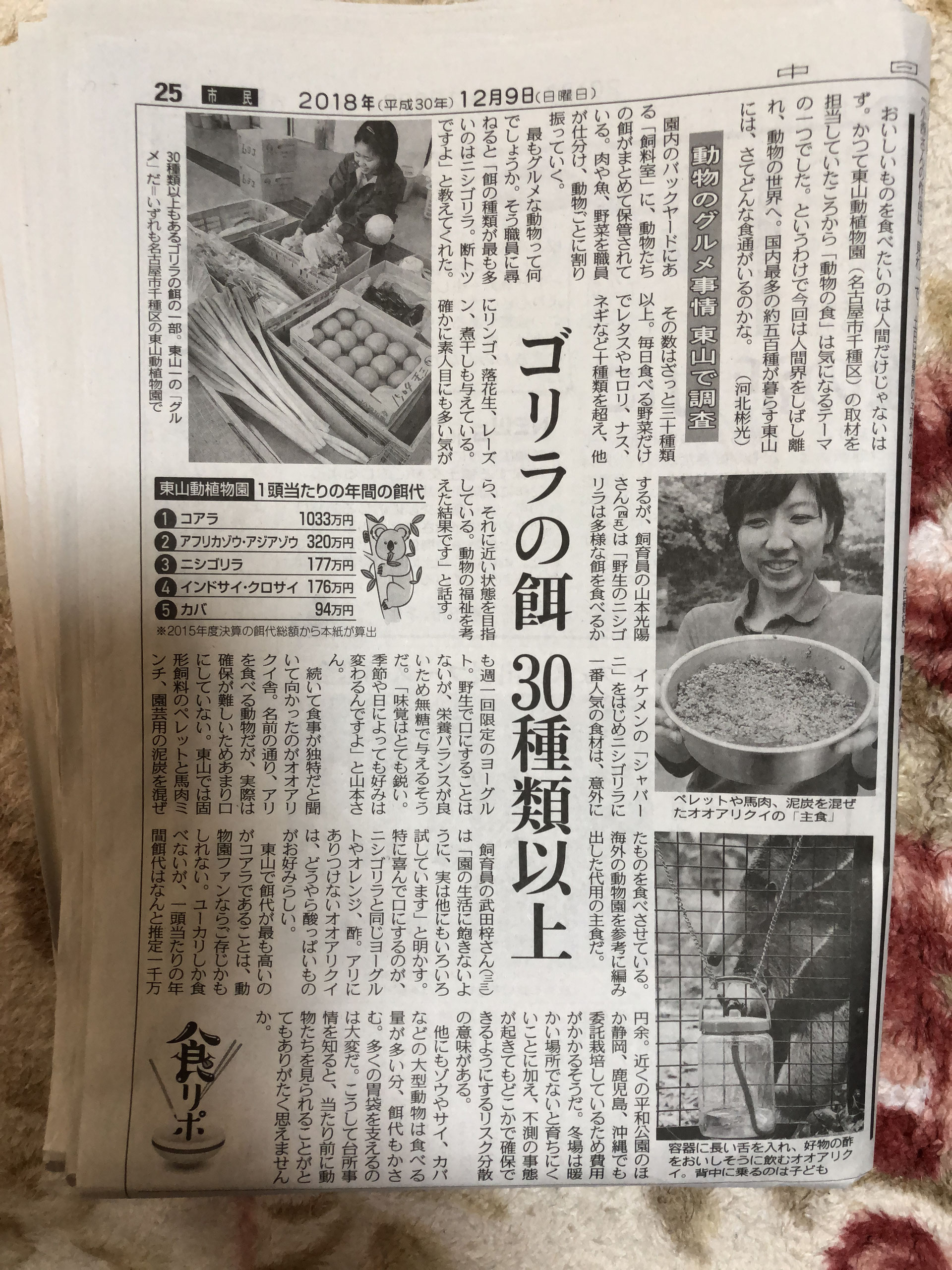 大嘗祭 という活字を新聞で見た 滅多やたらにお目に罹れない文字である Hasikurabu ページ