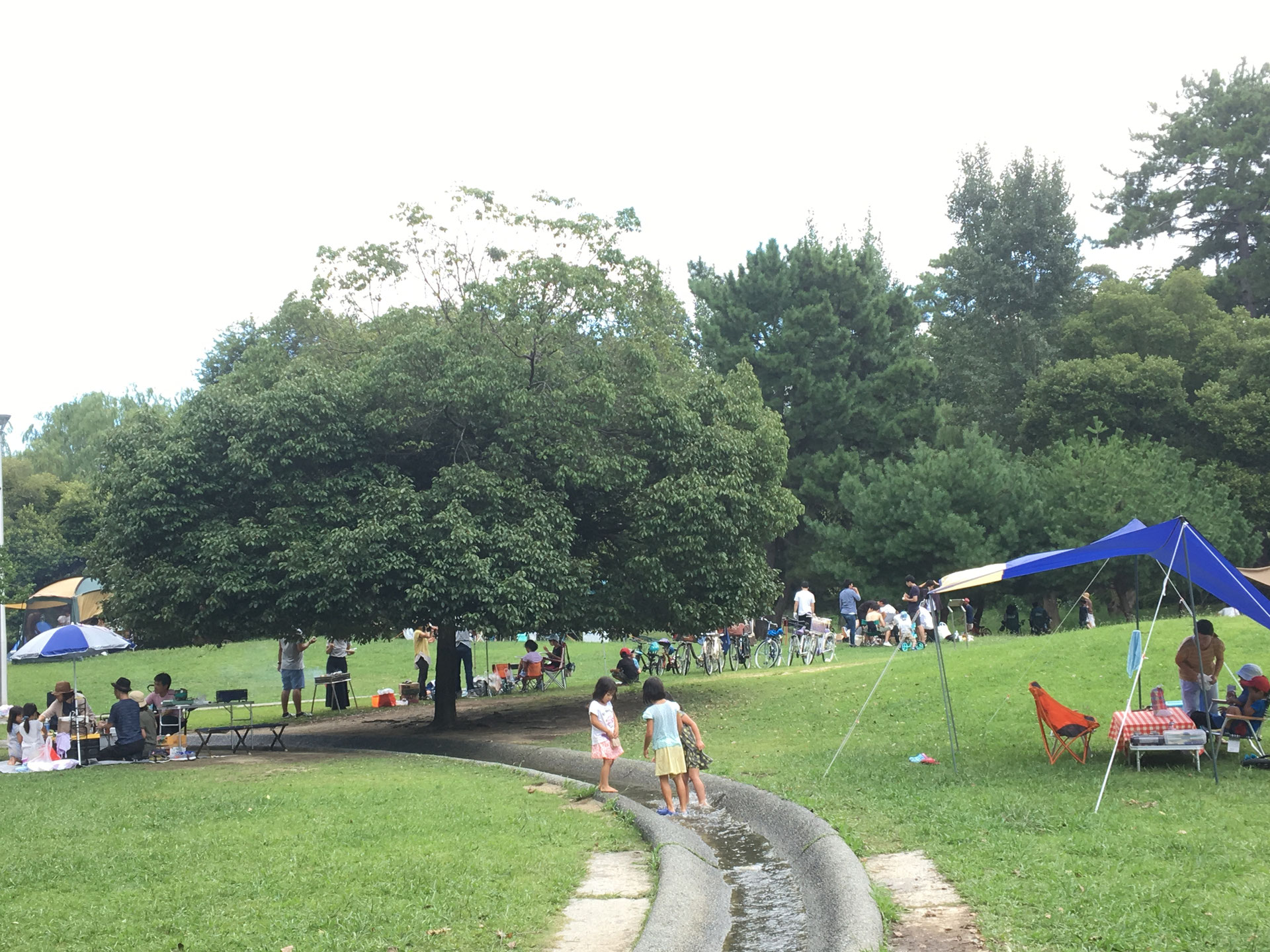 本日は服部緑地公園へbbq機材を宅配です 激安bbqレンタルのバーベキュービッグ