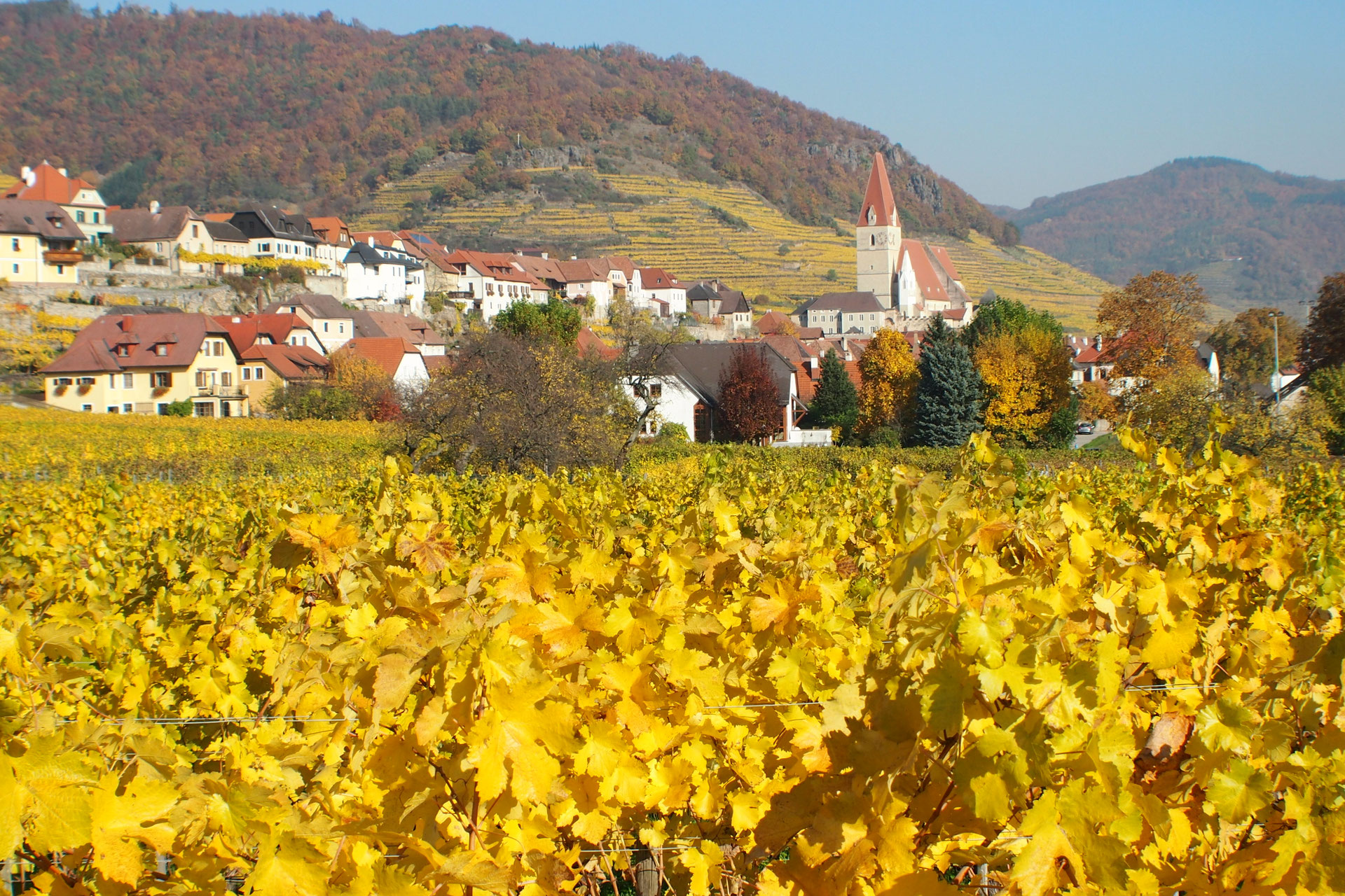 Die Wachau wachauneus Webseite!