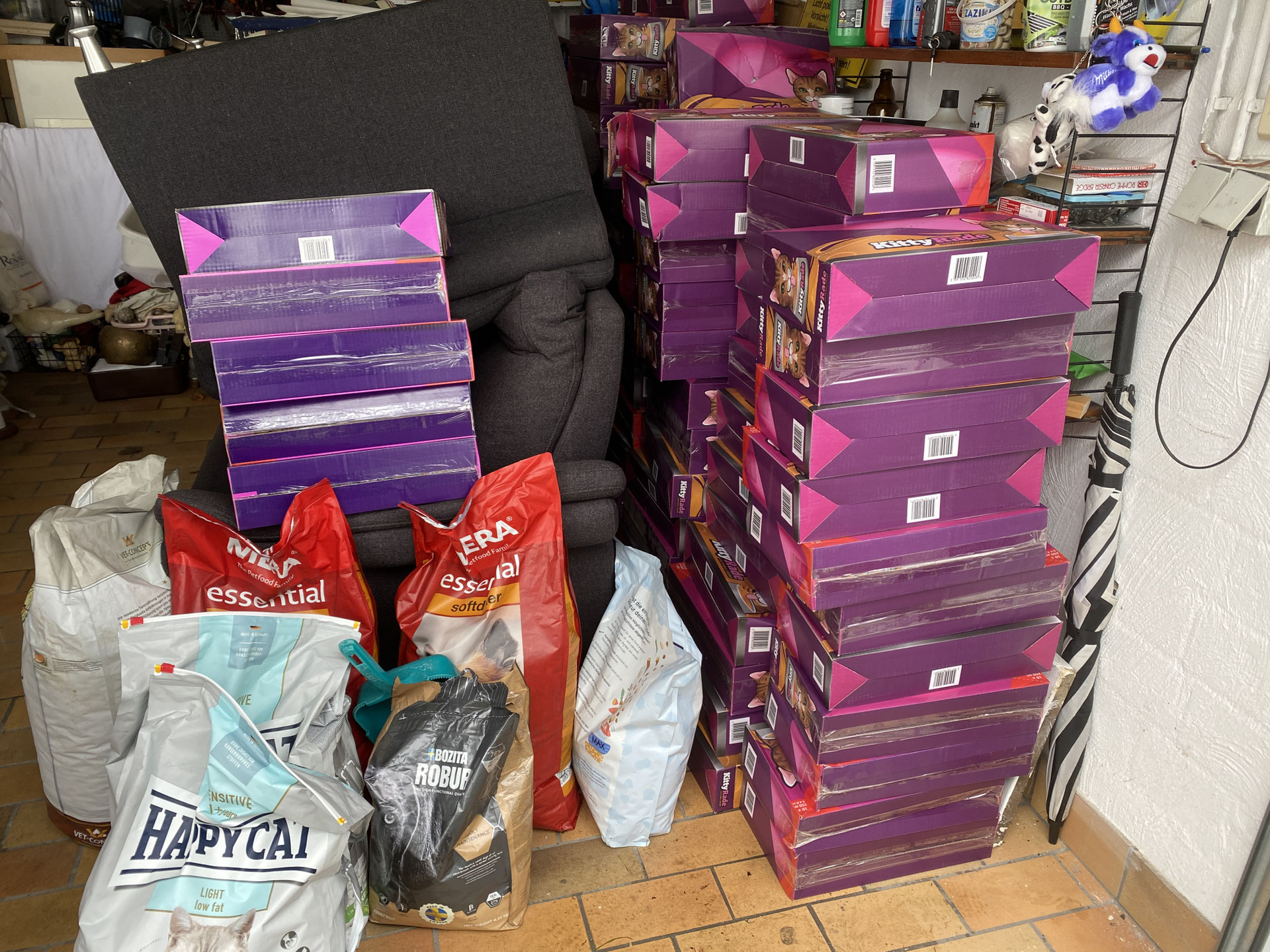 Spanien? Olé! Hilfe mit Herz und Verstand