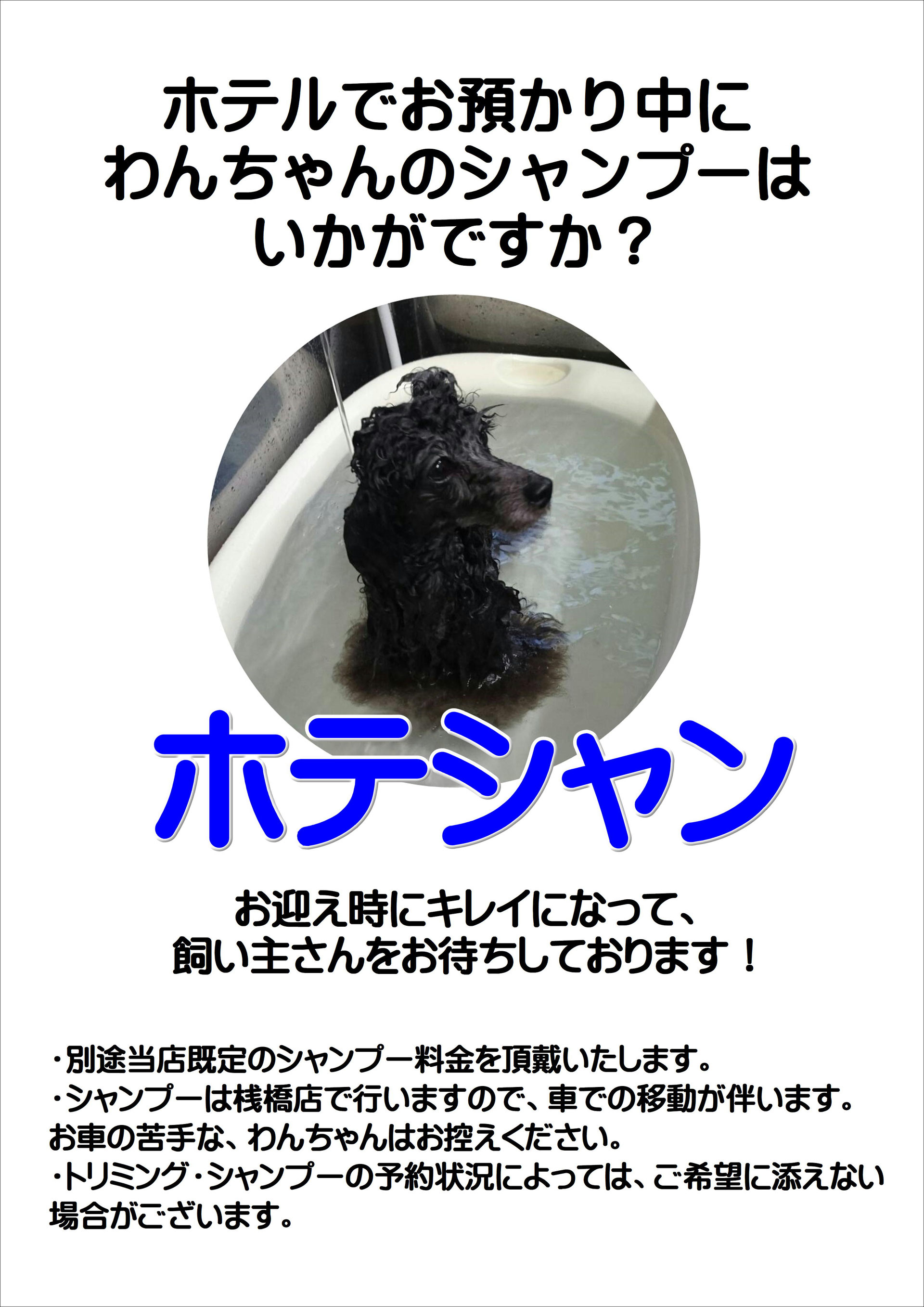ナチュラルファミリー with Dog & Cat