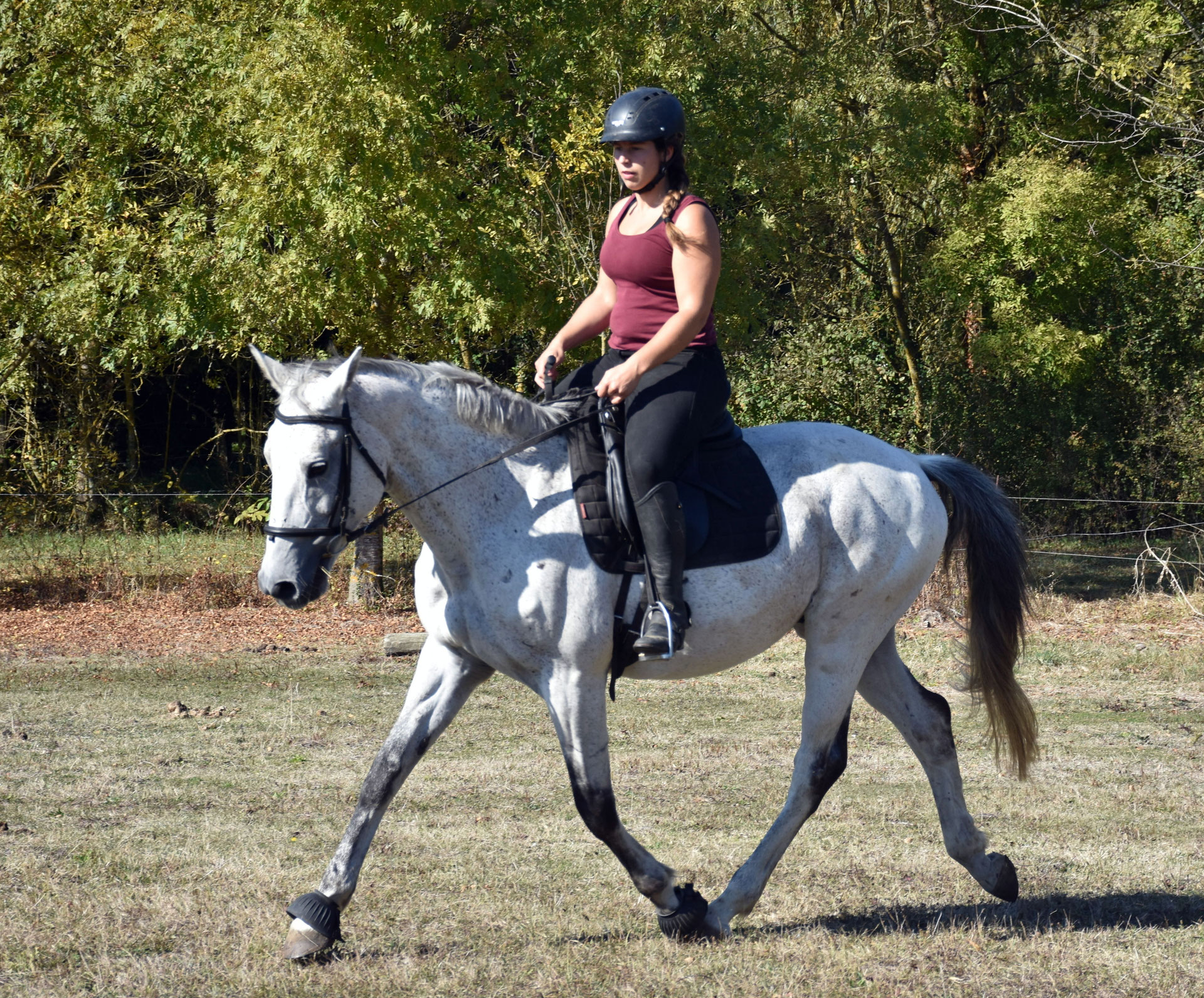 Cours d'équitation Christelle Eynard, monitrice d'équitation