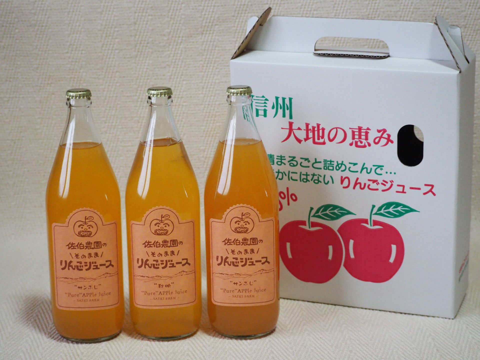 りんりんページ Kawasaki GPZ 900 R NINJA TOP GUN Ver 1/12 Plastic Model Kit