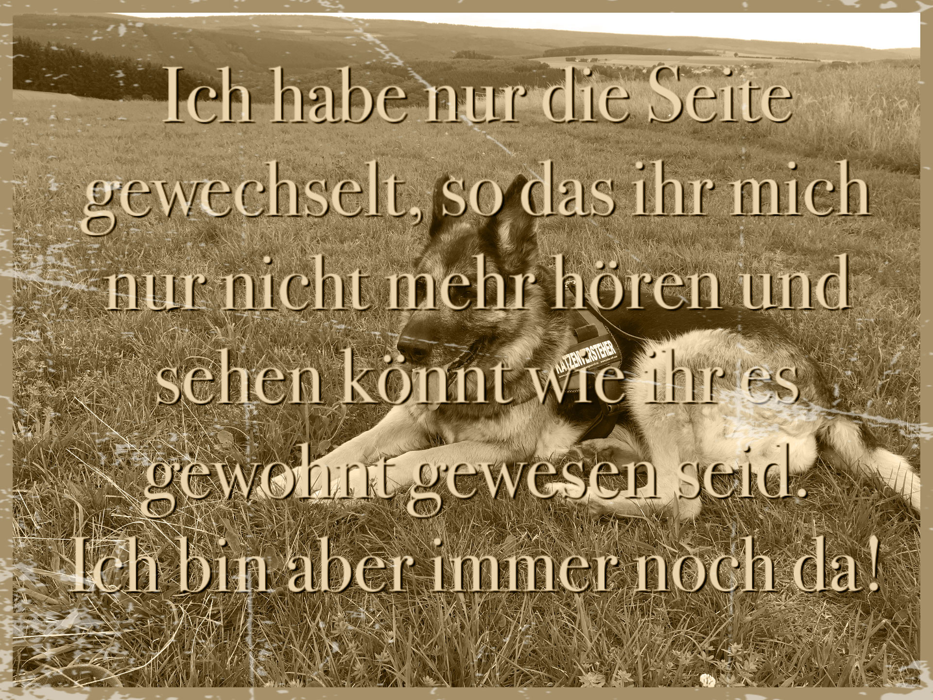 Besondere Zeiten Bundesverband Verwaiste Eltern Und Trauernde