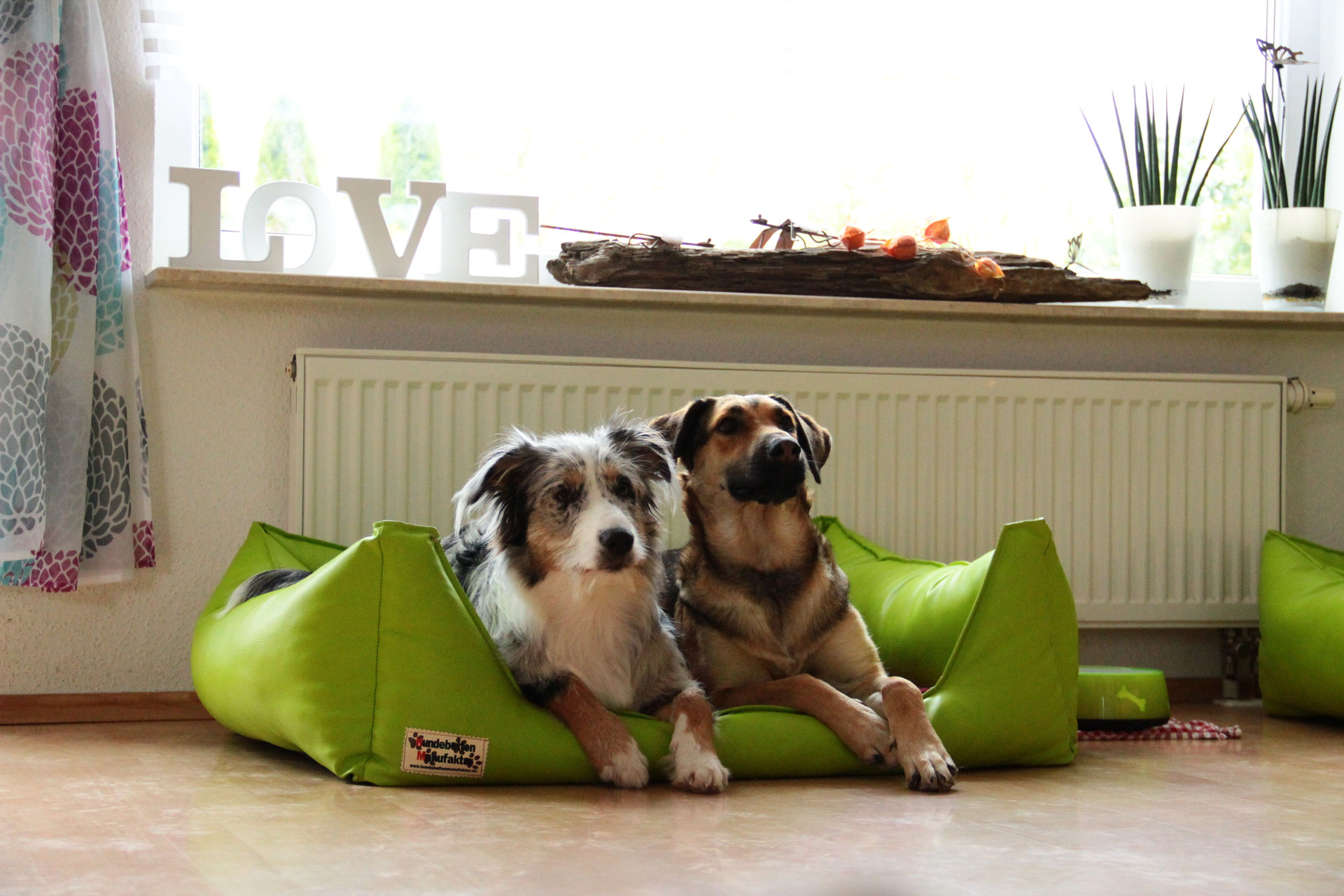 !! FÜR 2018 KÖNNEN KEINE WEITEREN HUNDE MEHR ANGENOMMEN WERDEN