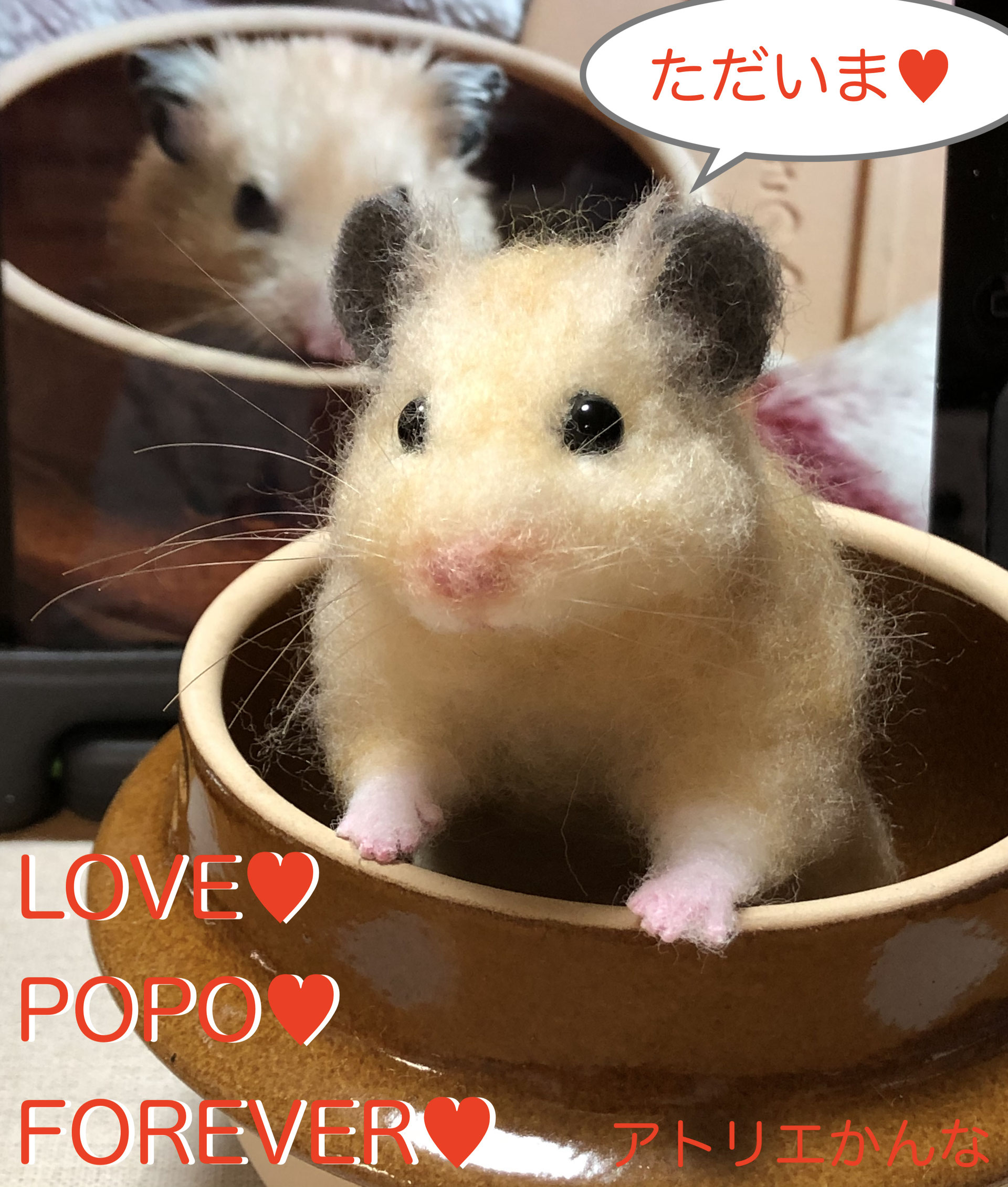 キラキラ輝く毛色のぽぽちゃんは とってもビビリさんでした Bokusaiga ページ