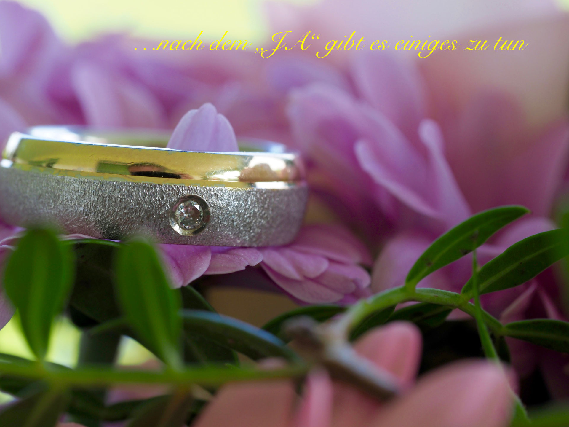 Checklisten Fur Die Perfekte Hochzeit Buch Weltbild Ch