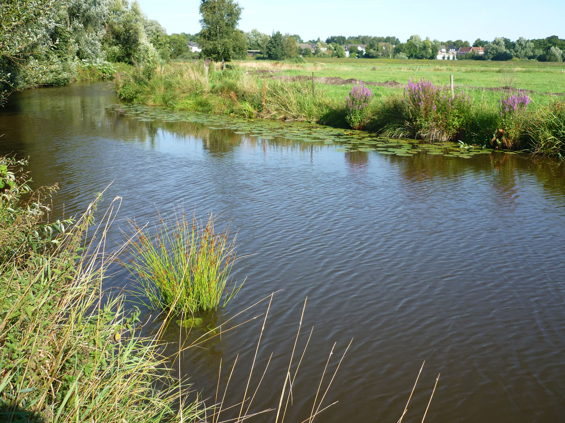 Willkommen beim NABU Ritterhude NABU Ritterhude