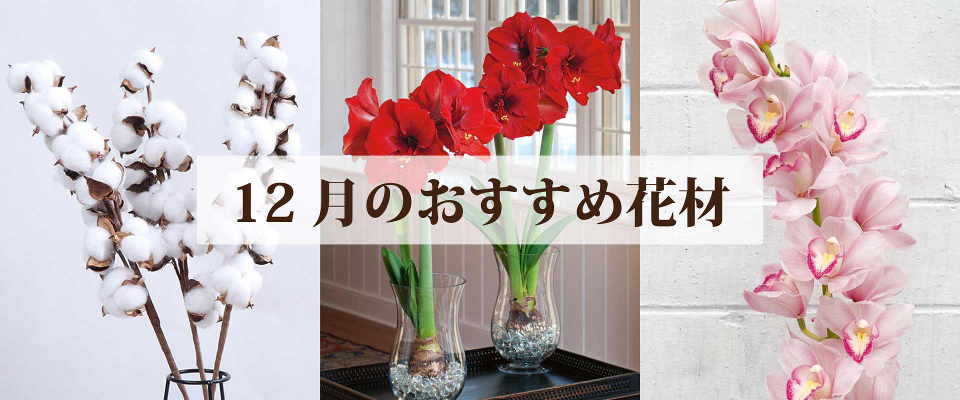 12月のオススメ花 高田馬場 九段下の花屋シーズン ハーツ 12月のオススメ花 高田馬場 九段下の花屋シーズン ハーツ