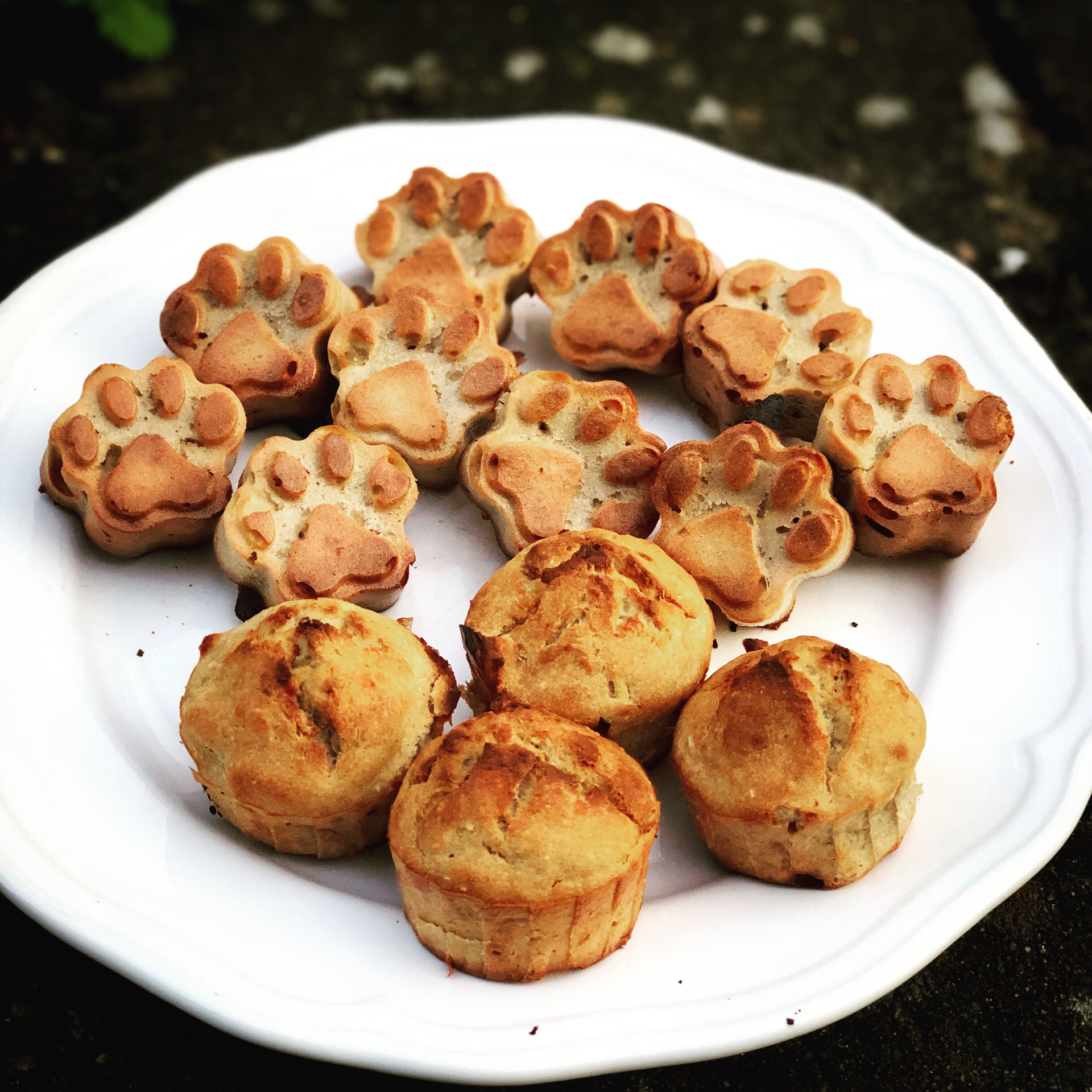 Kokosapfelinis Barf für Hunde und Katzen, natürlich artgerechte