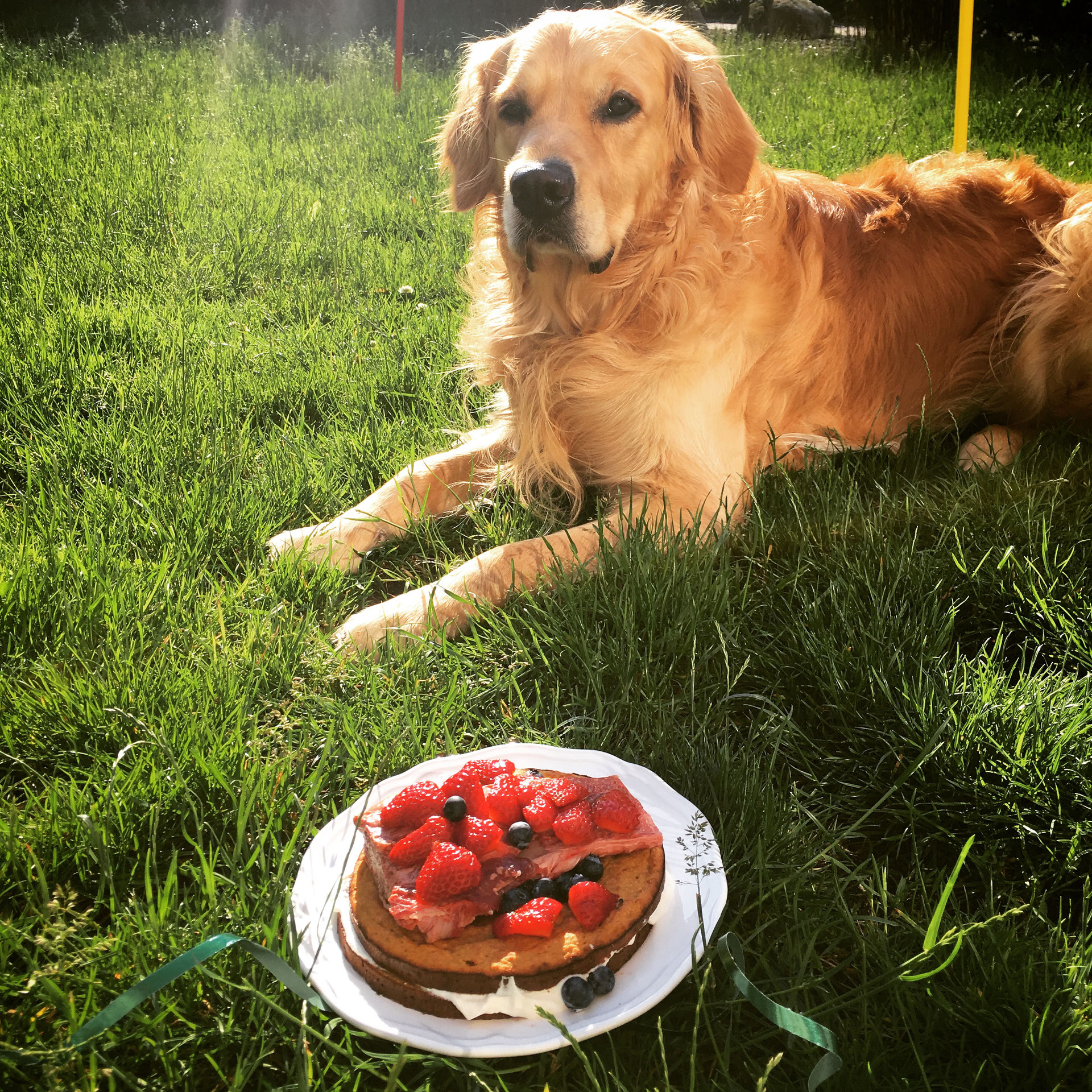 Karottenkuchen mit Apfel und Banane auf Spareribs mit Johannis und
