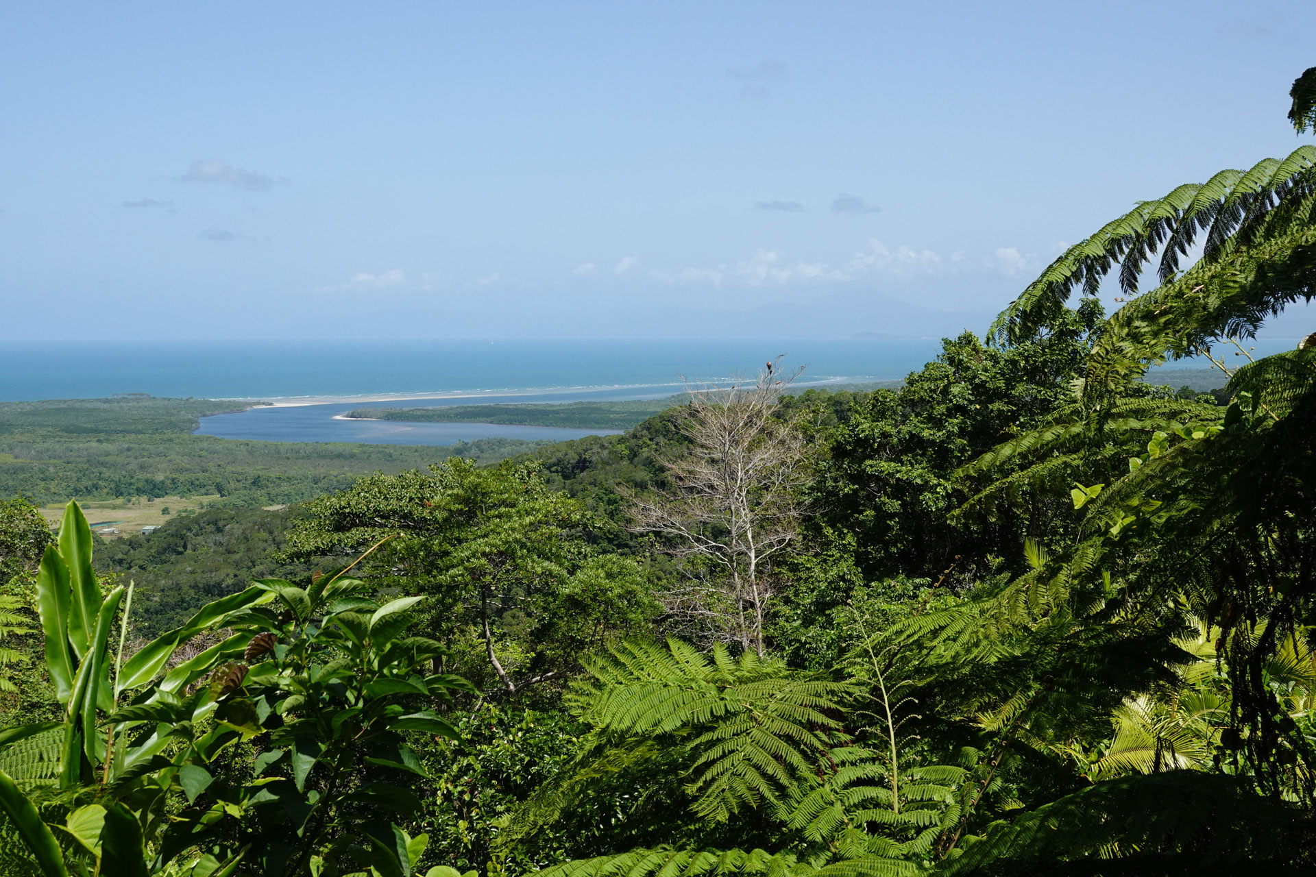 cow bay beach De website van dewereldisrond!