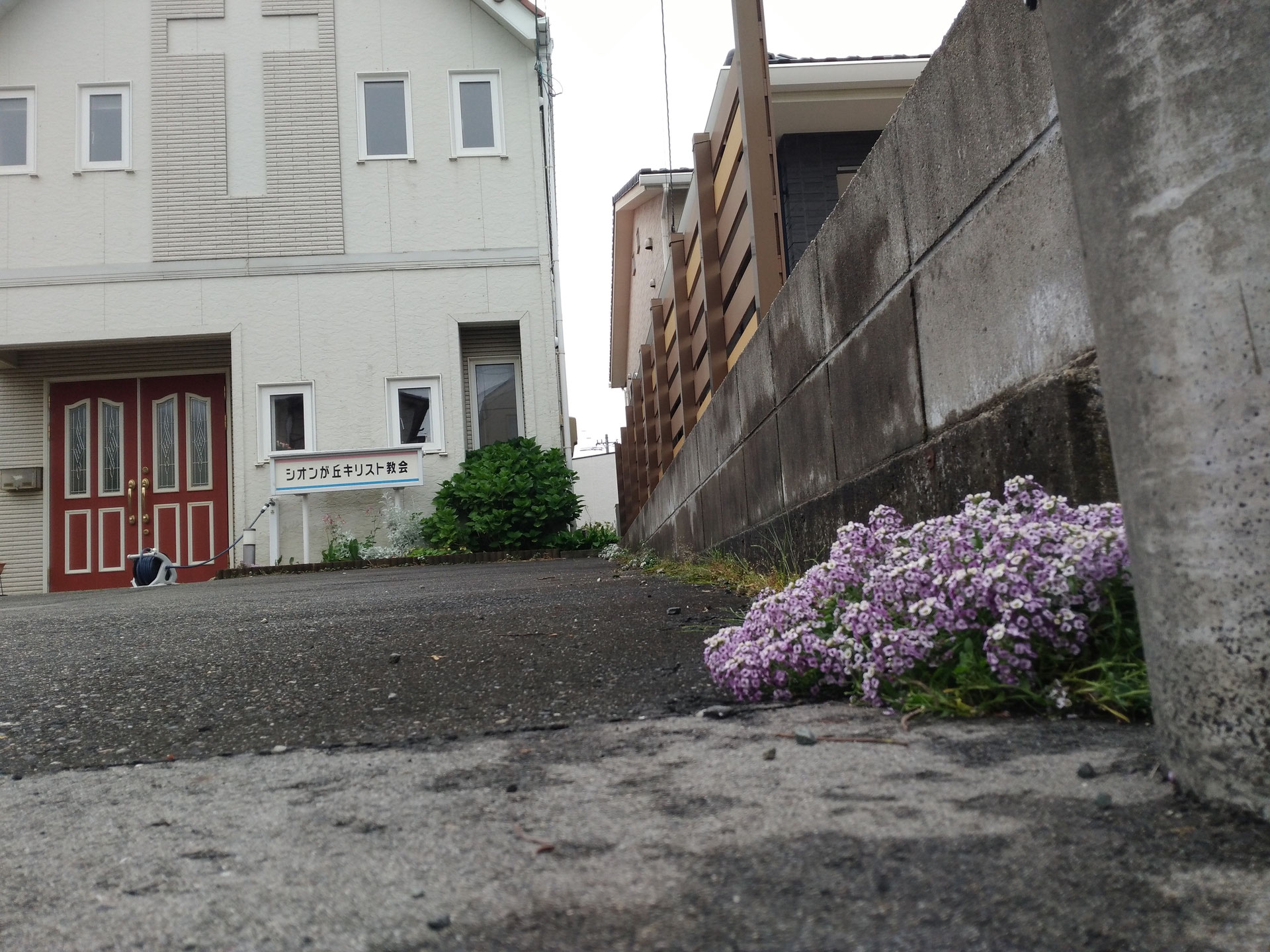 献金者へ シオンが丘キリスト教会 新潟市西区 献金者へ シオンが丘キリスト教会 新潟市西区