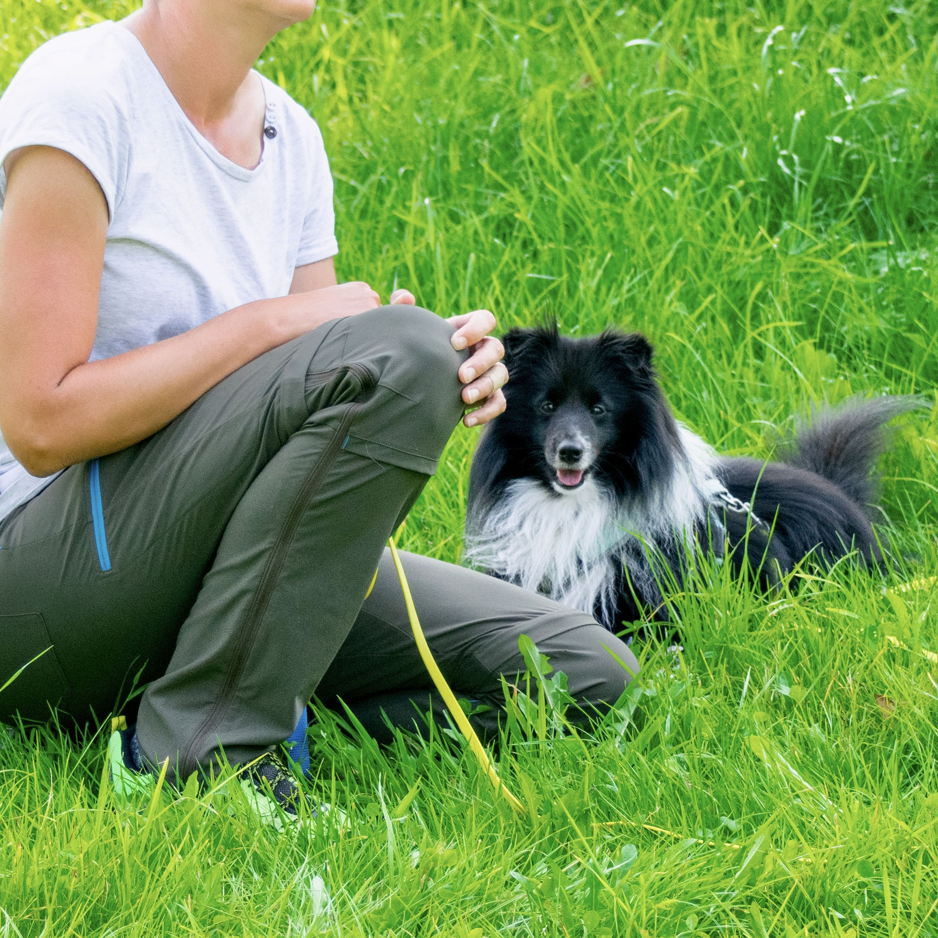 (c) Cumcane-familiari.ch