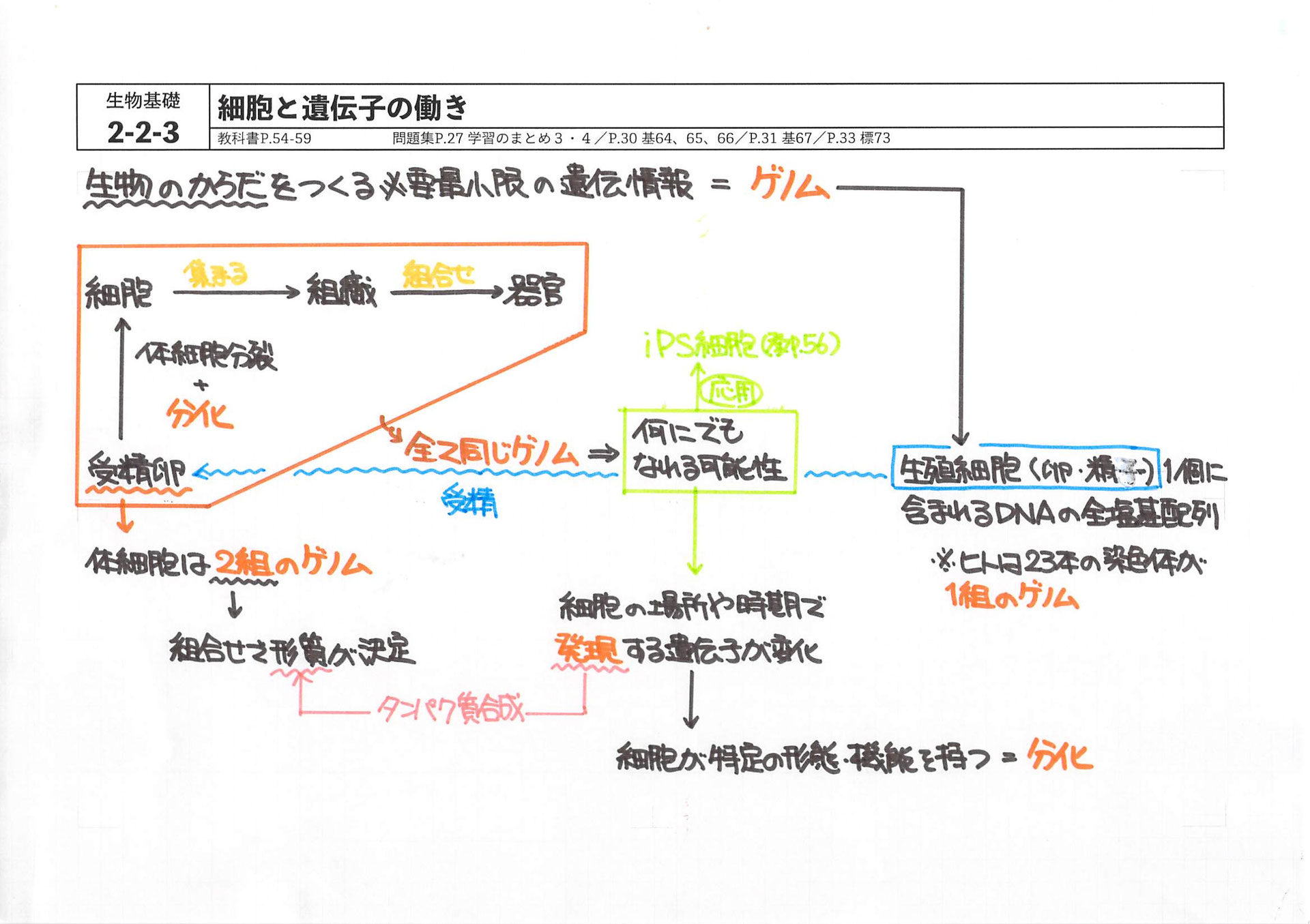 椿の生物