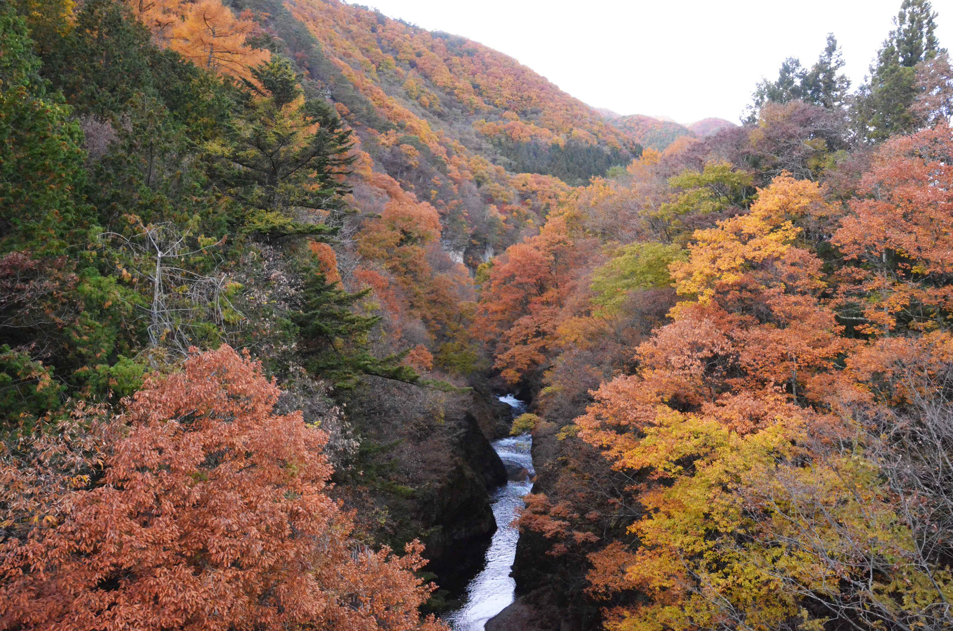 吹割の滝 紅葉情報 吹割の滝 伽羅苑 きゃらえん ホームページ