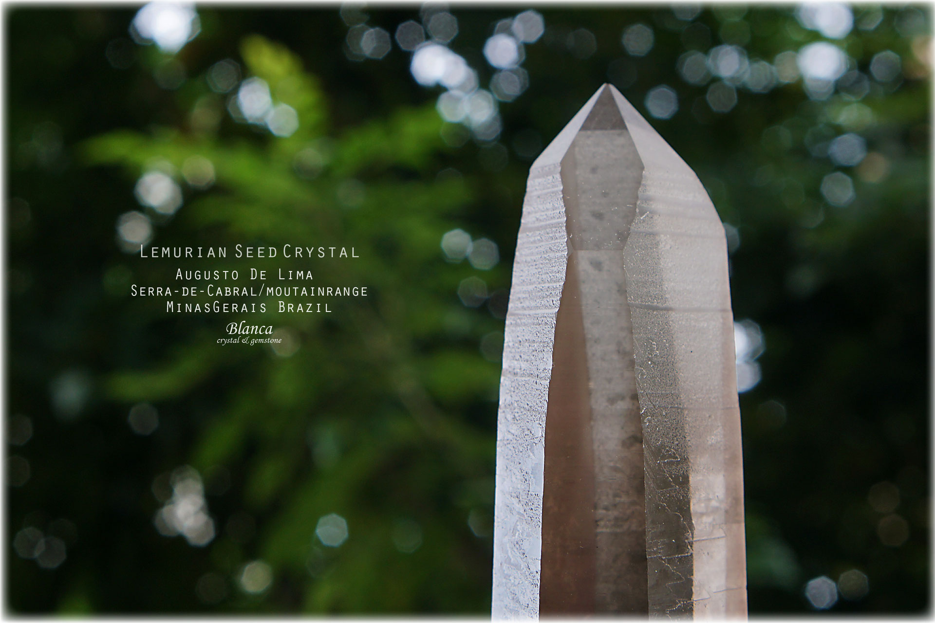 Lemurian seed crystal スモーキークォーツ - 福岡の天然石 Lemurian seed crystal スモーキークォーツ - 福岡の天然石