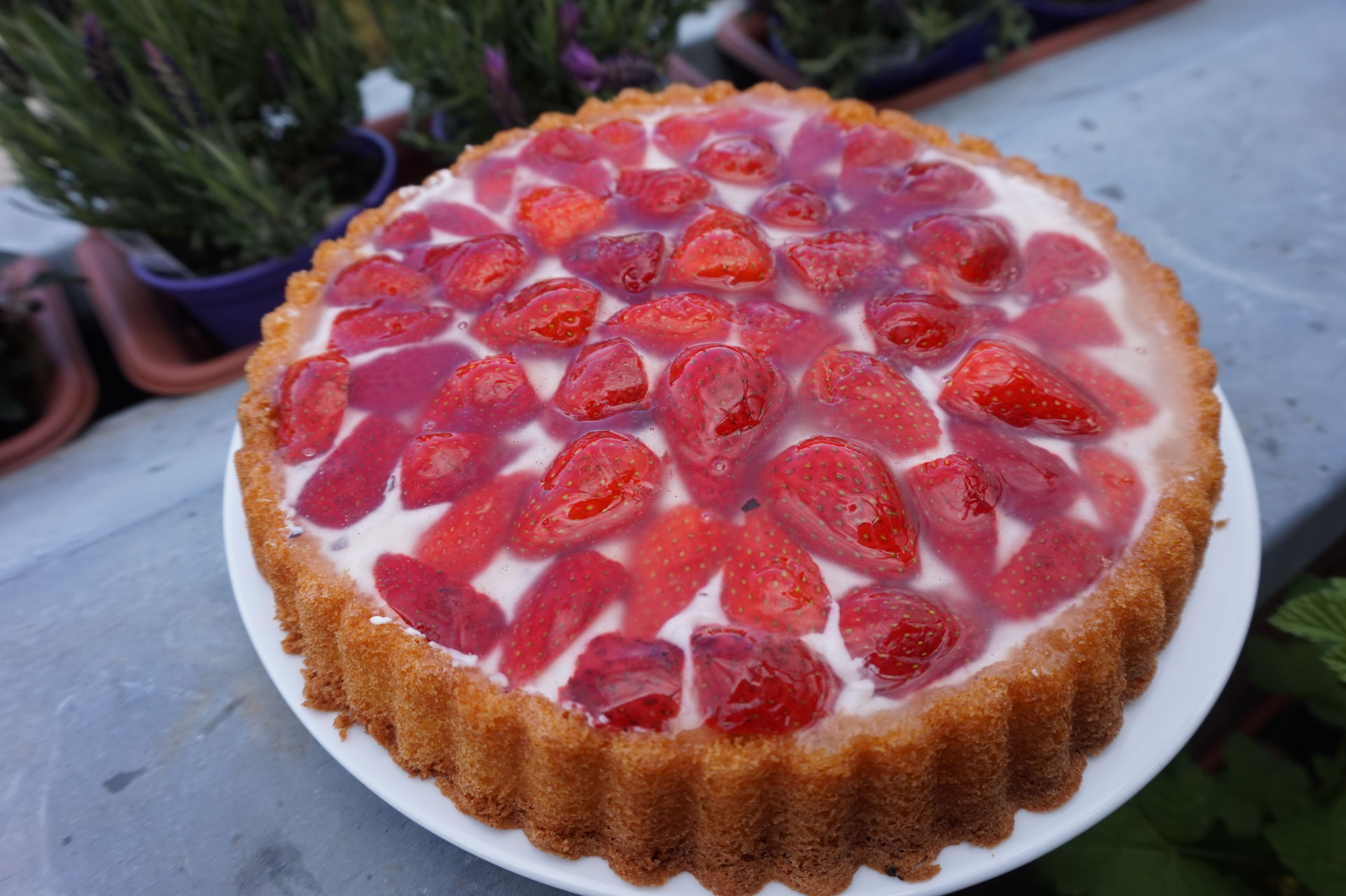 Einfacher Kuchen mit einer Stracciatella-Creme | Erdbeeren ...