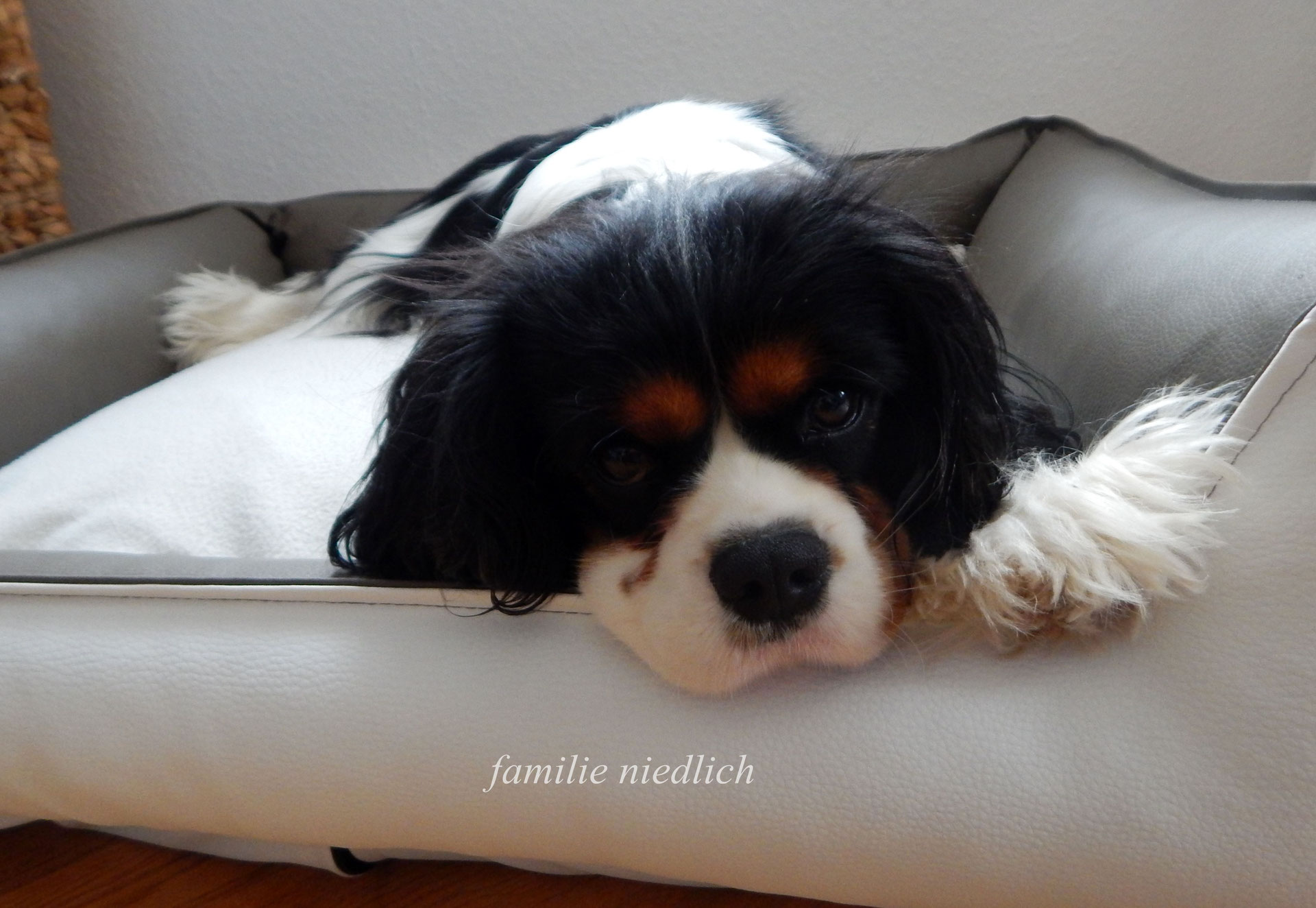 Gedanken Zum Neuen Jahr Unser Familienblog
