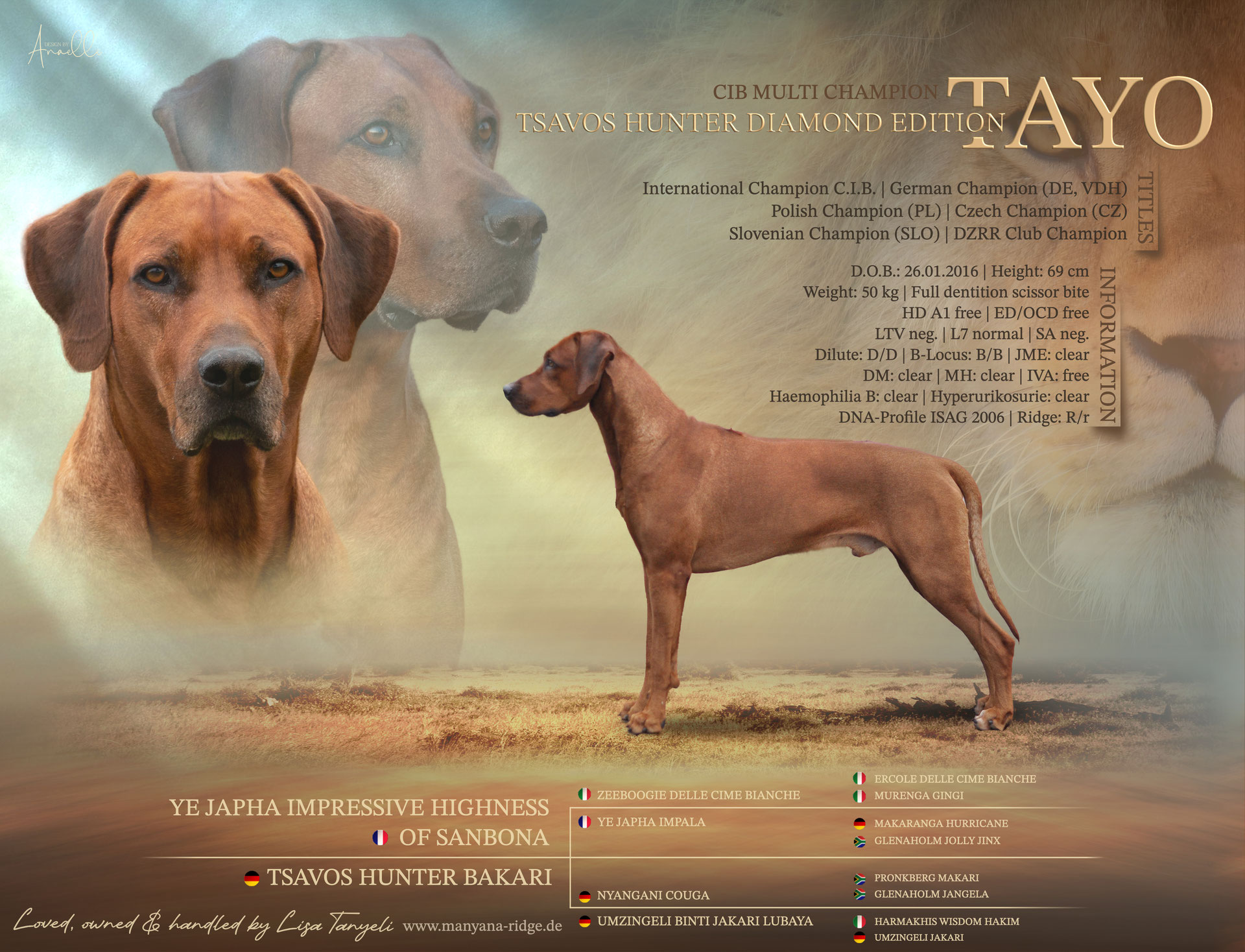 Diamond hotsell ridge ridgebacks
