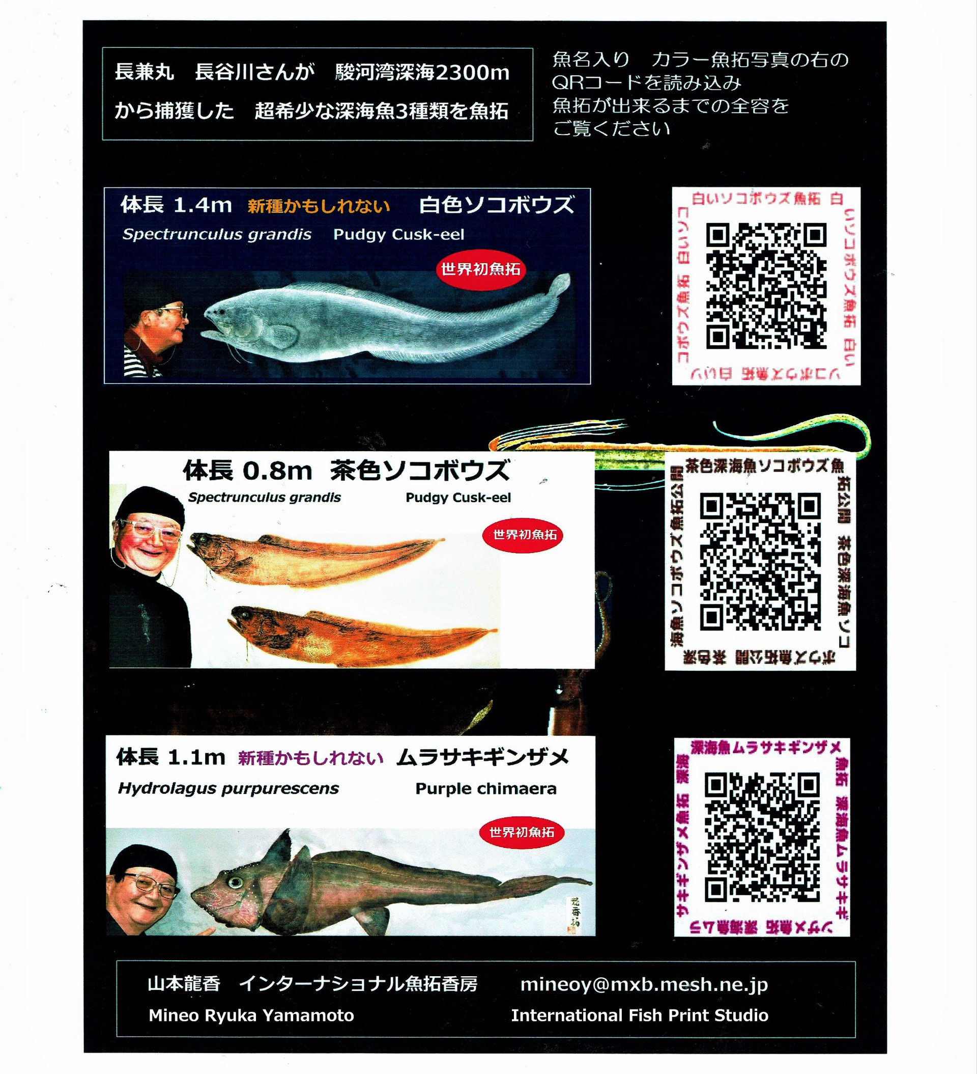 深海魚イラストと魚拓 Webマガジン Youtube動画リンクqrコード付き Fishprintermineo ページ 深海魚イラストと魚拓 Webマガジン Youtube動画リンクqrコード付き Fishprintermineo ページ