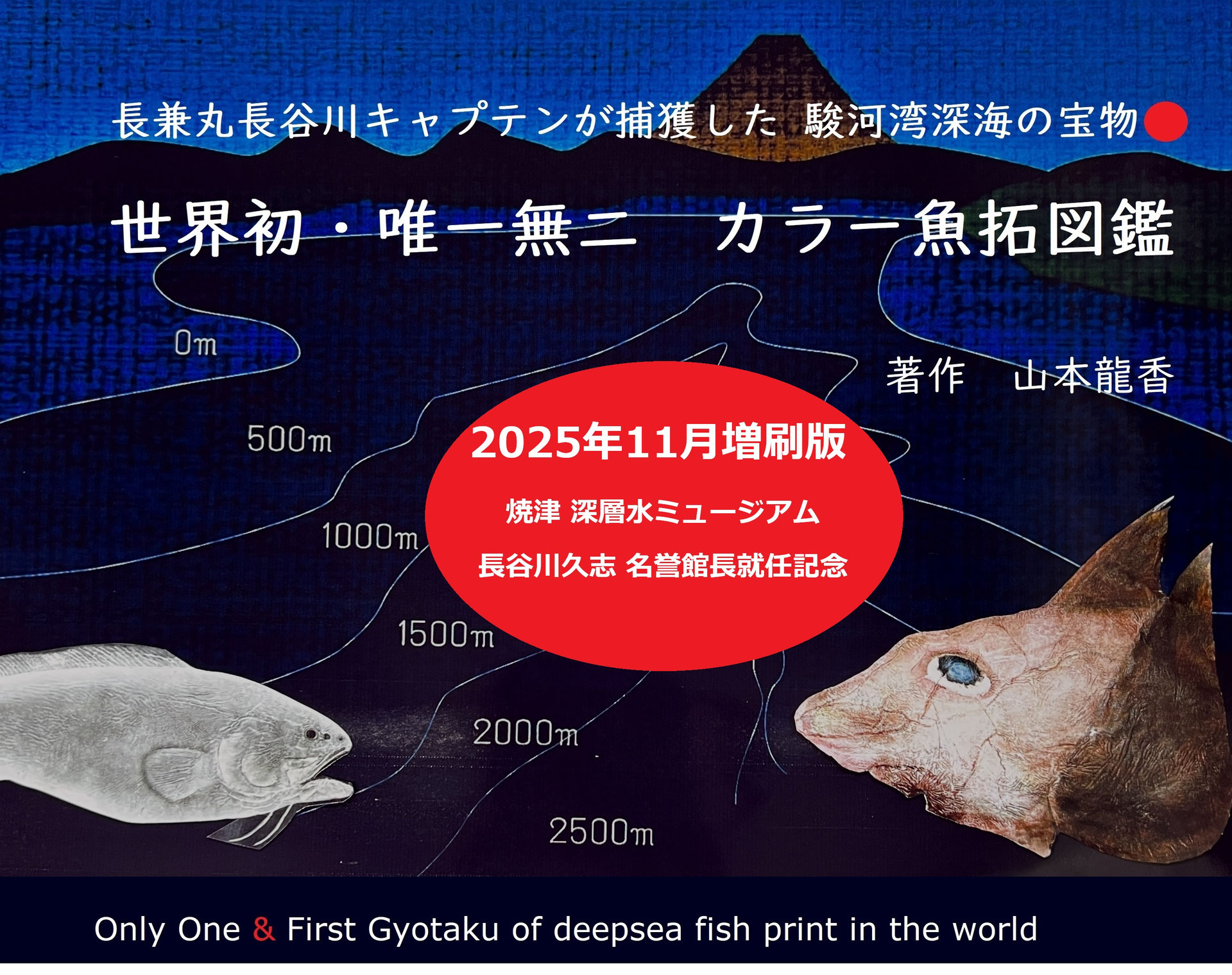 駿河湾深海ザメ希少生物カラー魚拓図鑑 - fishprintermineo ページ！