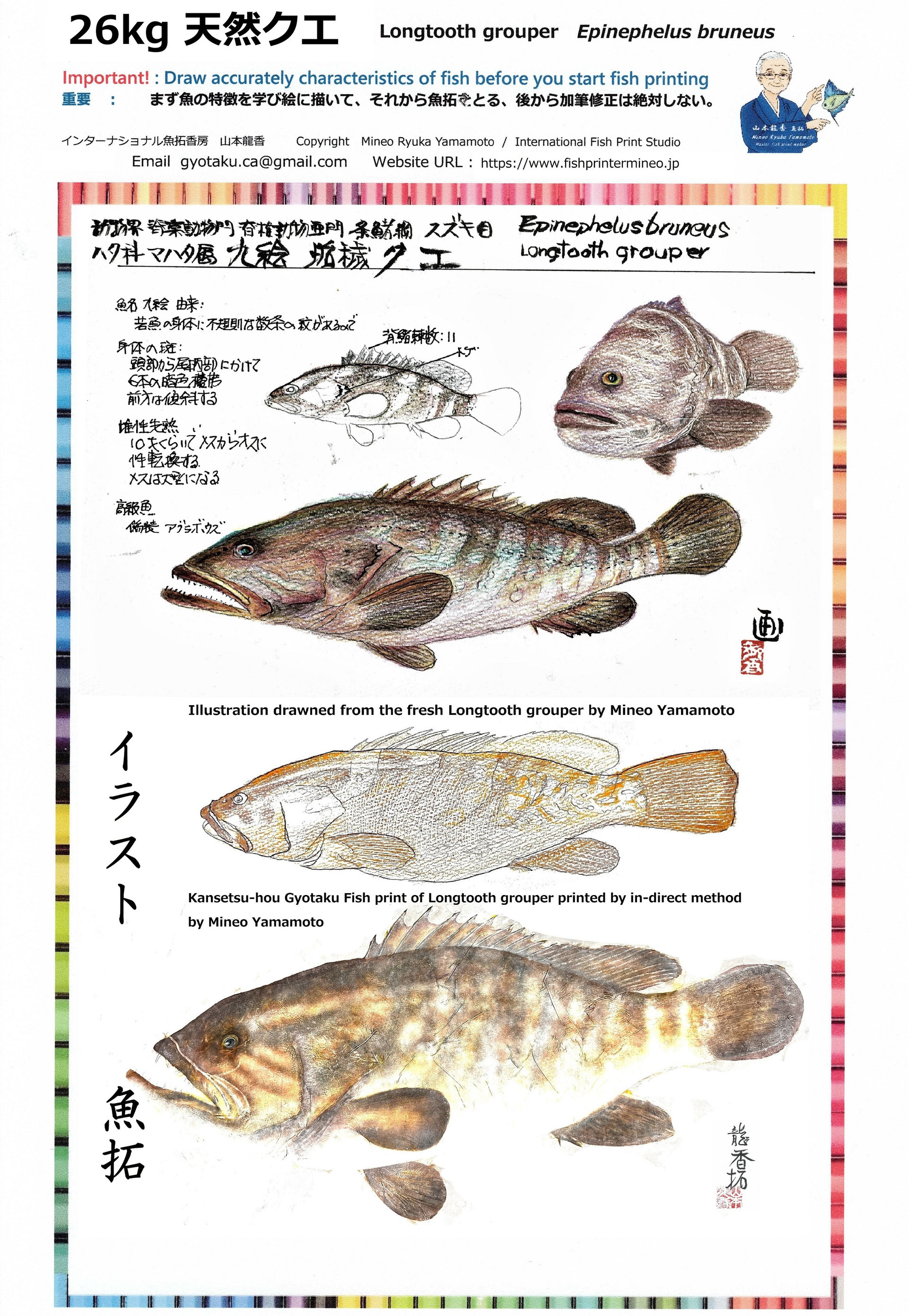 山本龍香　美術魚拓　署名あり 山本龍香のカラー魚拓作品を写真で紹介 | 楽しいカラー魚拓