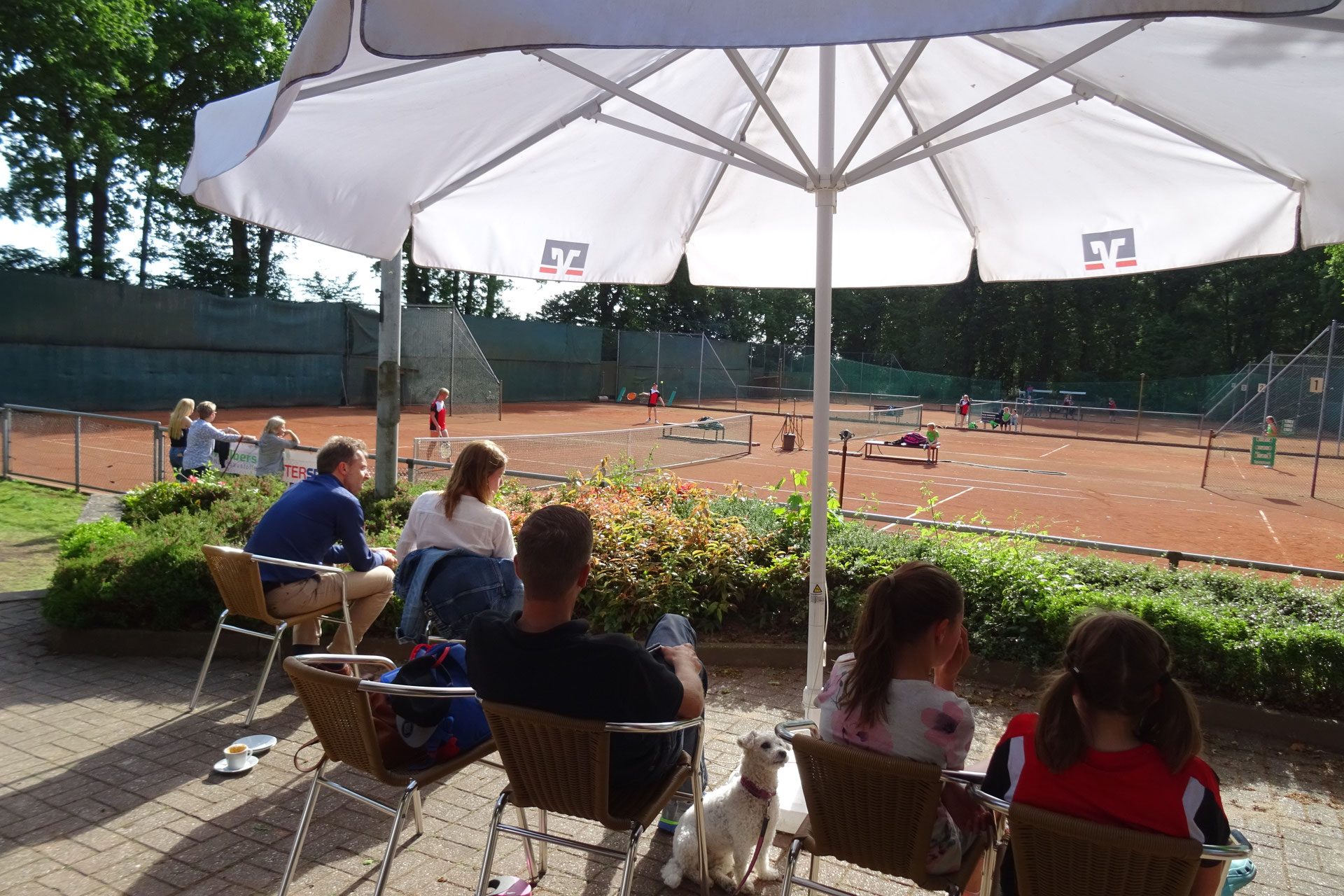 Wir begrüßen Euch auf der Homepage des TC Hartefeld 1982 e.V. TC