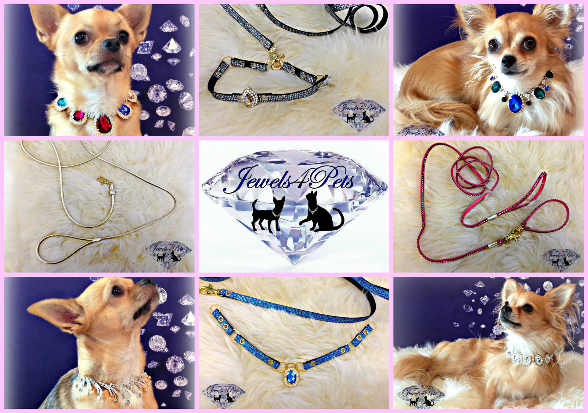 Tierschmuckprofi, Hundehalsband Profi, Hundehalsband nach Maß