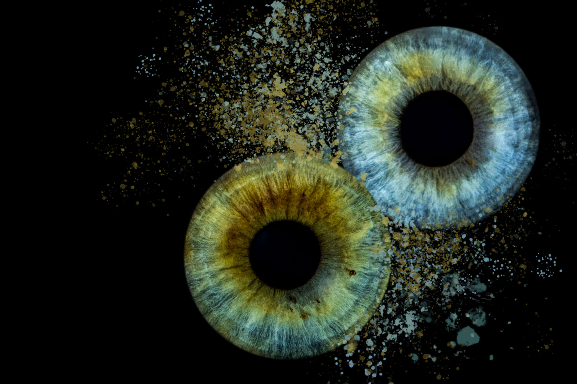 IrisFotografie Das aussergewöhnliche Fotostudio in Derendingen