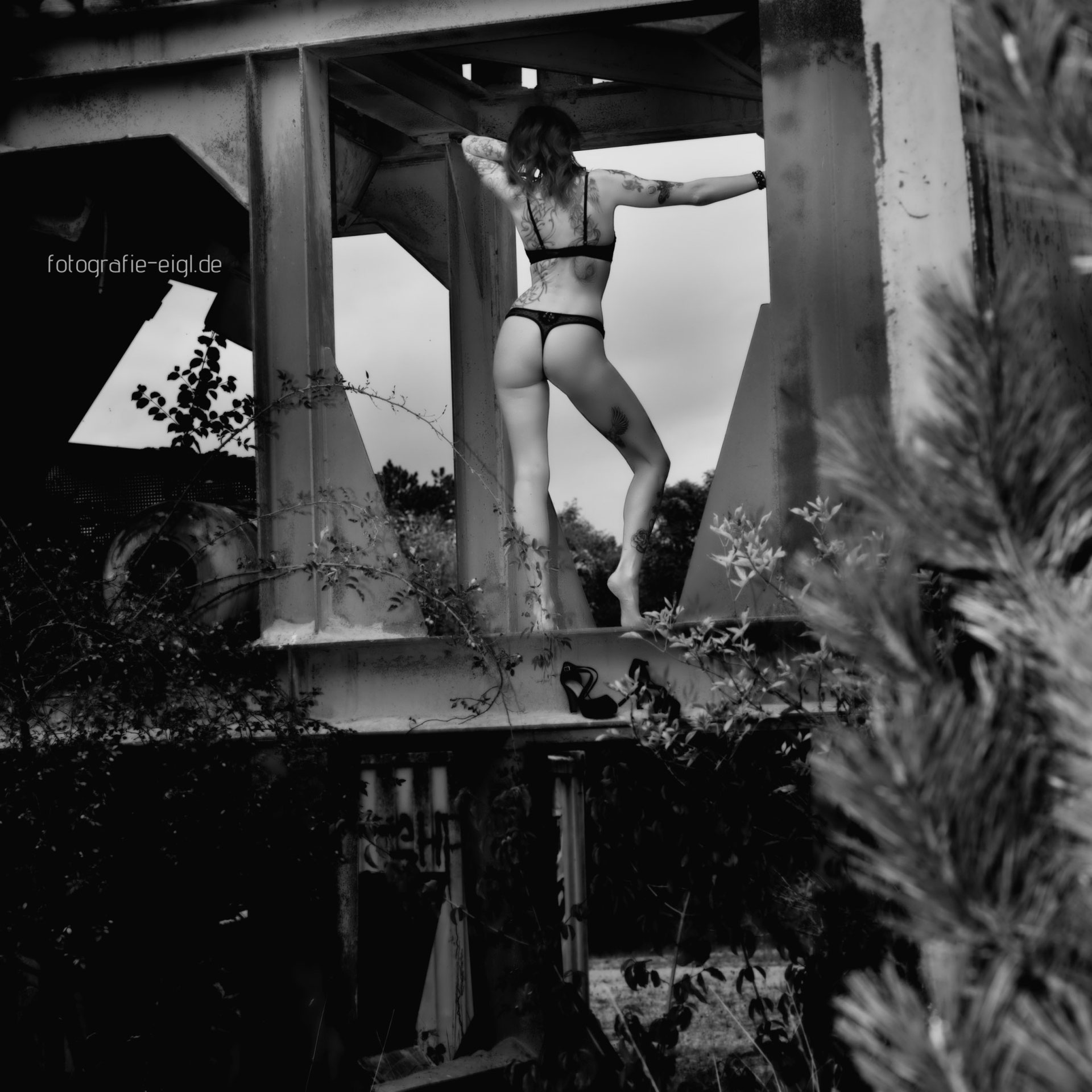 Heute mal schwarz-weiß - fotografie-eigl.de