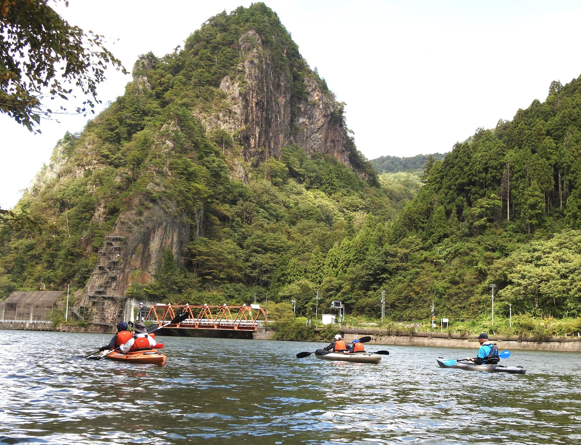 御神楽山麓巨樹巡り