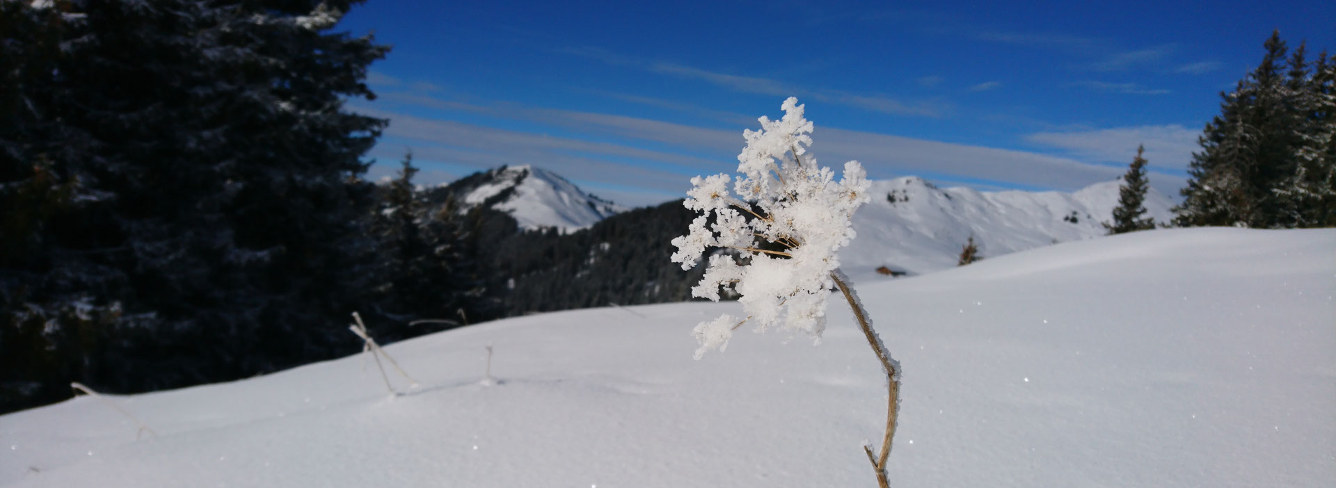 Partnervermittlung kostenlos aus unter leimbach betroffen ist, dass die Mdchen sich auch alle rasieren, wenn du zu schwulen Jungs Kontakt aufnimmst. Single freizeittreff zermatt