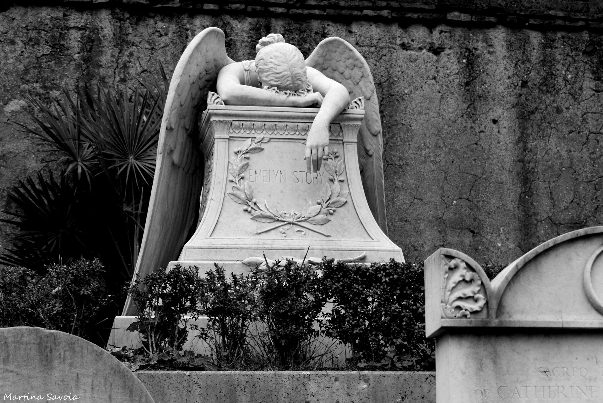 COMITATO ETICO, image size:1920x1284