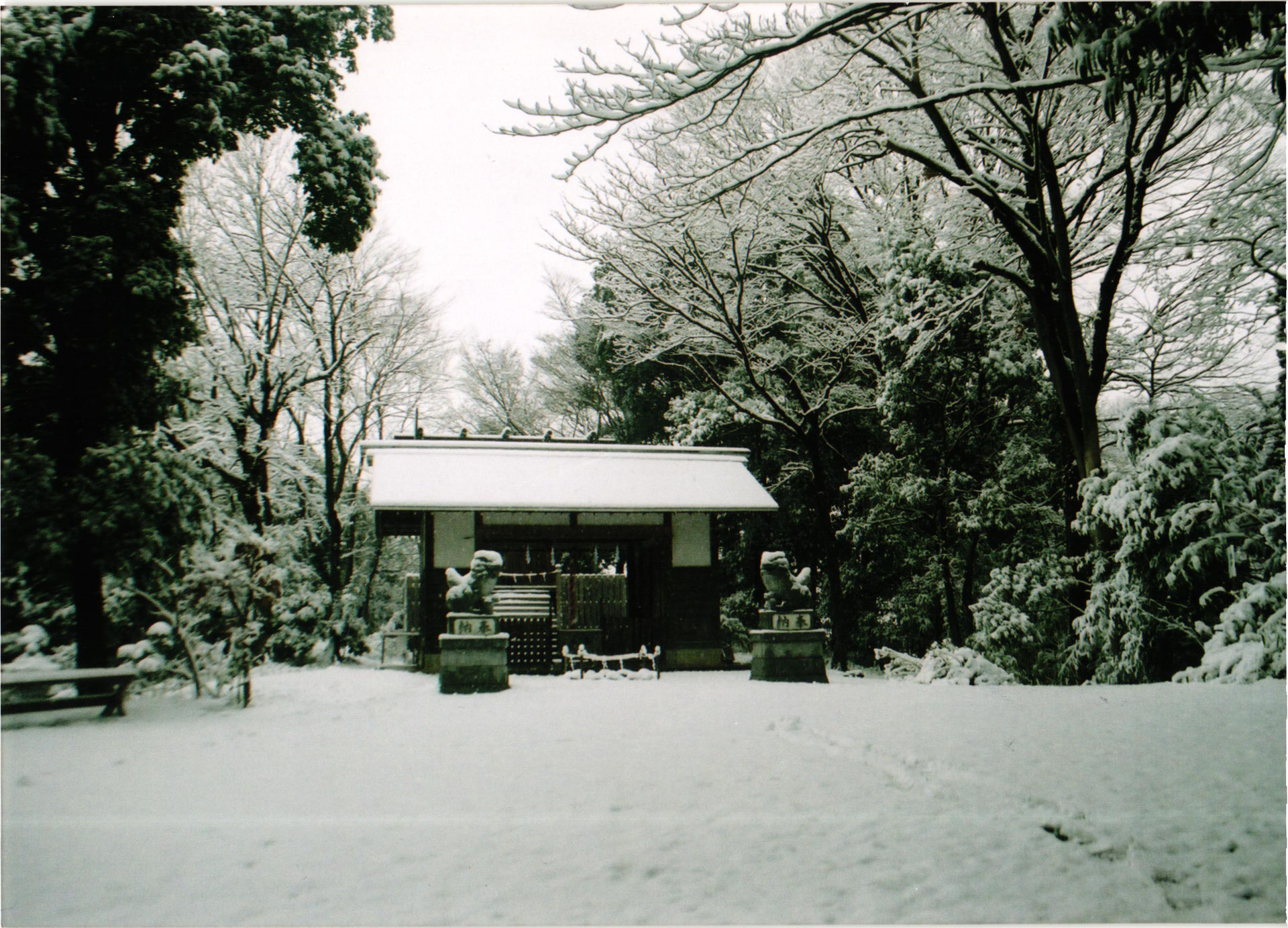 瑞穂神社について - 山蔭神道 瑞穂神社 公式HP