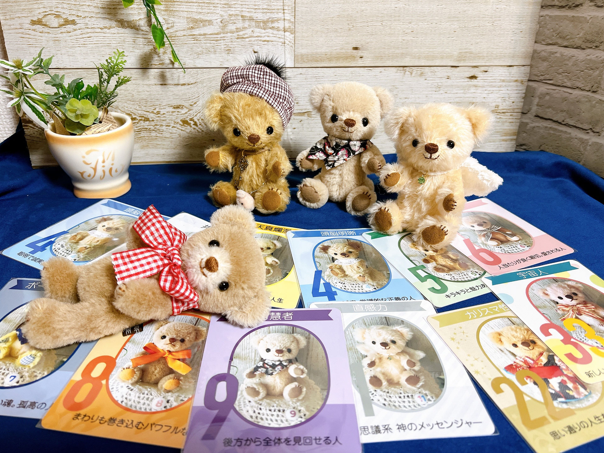 ⭐︎テディベアさん専用⭐︎ Steiff meets GELATO PIQUE♪ | ショップニュース | みなとみらい東急