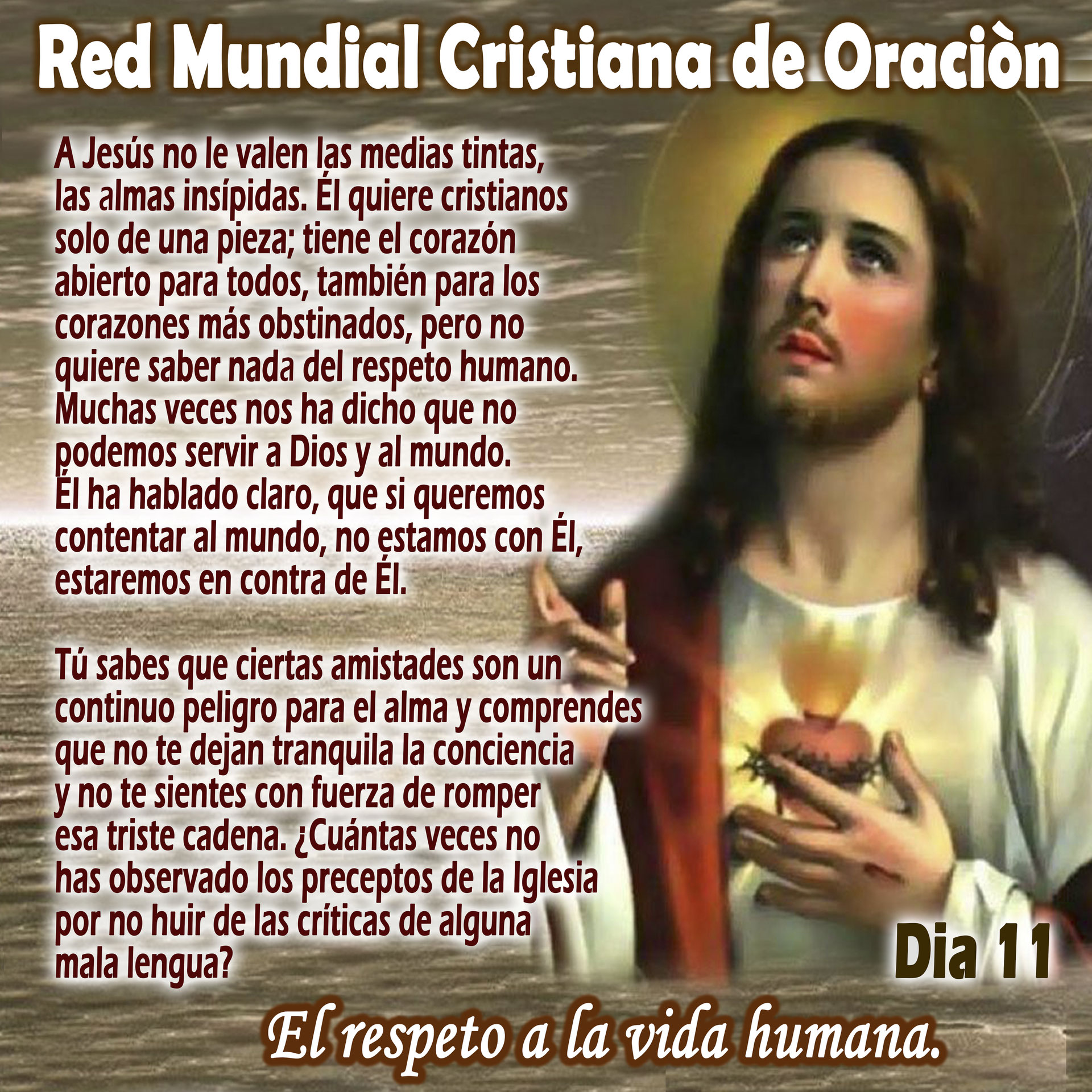 Día 11. Lanzada contra el Corazón de Cristo es la blasfemia, o la proferida por labios inmundos, o la declamada en la tribuna, o la impresa en el libro herético o impío. Día 11. Lanzada contra el Corazón de Cristo es la blasfemia, o la proferida por labios inmundos, o la declamada en la tribuna, o la impresa en el libro herético o impío.
