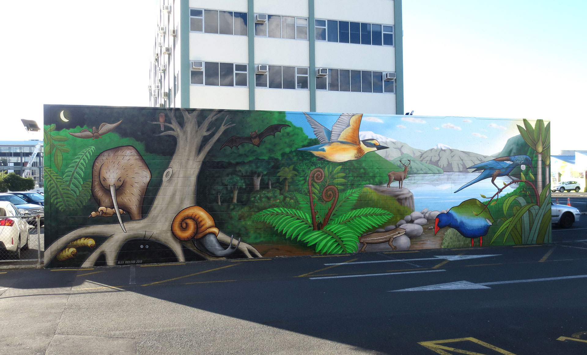 Wall art NZ Murals