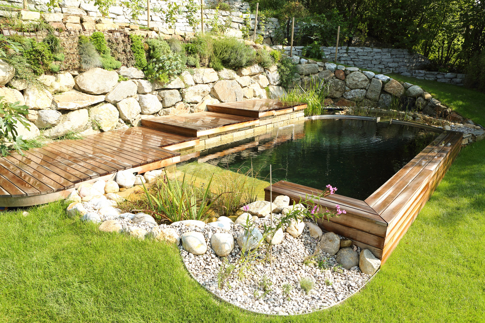 Schwimmteich & Naturpoolpflege Zemann Garten Naturpool und Schwimmteiche