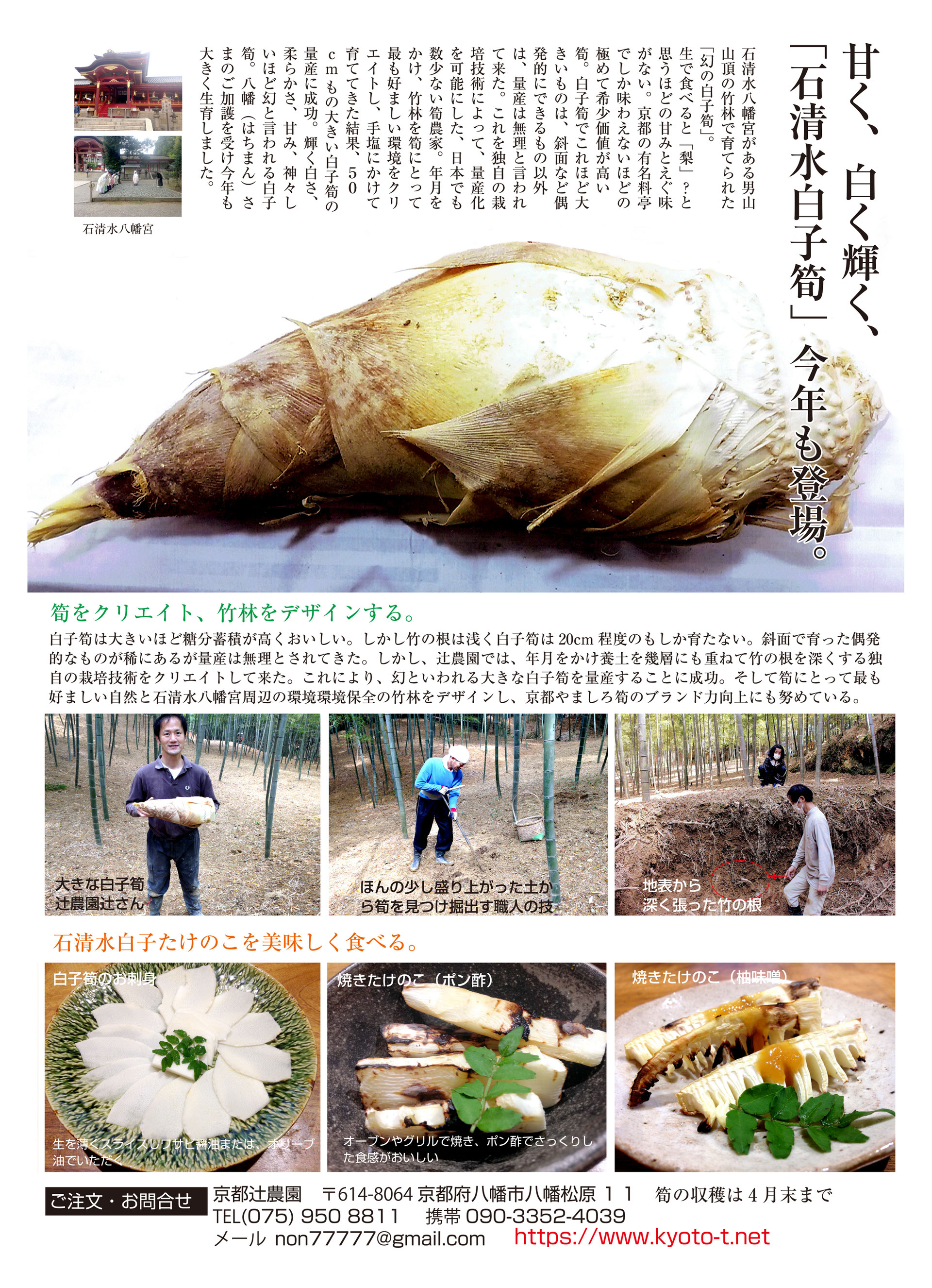 いください 虹のママりん様 朝堀り白子筍3kg WxRu5-m94605188871 京都