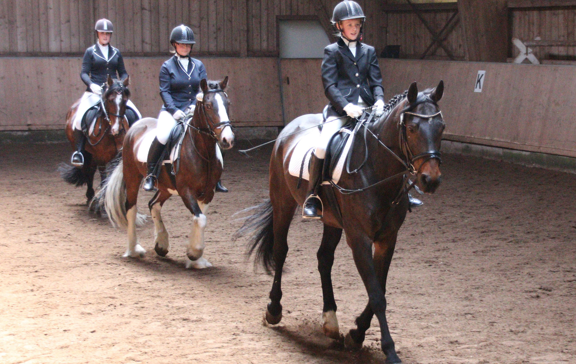 Reiten - ATSV Tirschenreuth