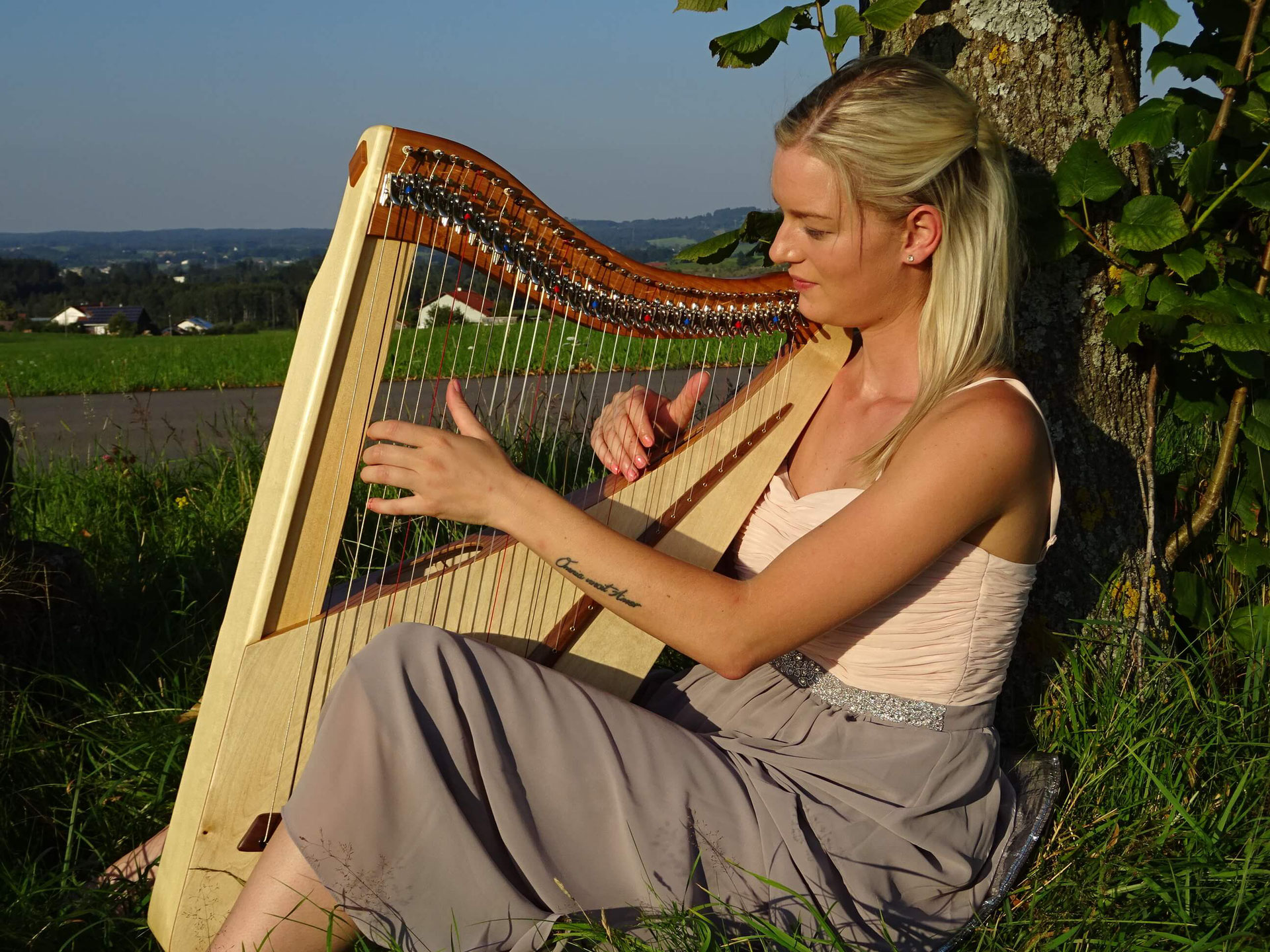 travel harp luna