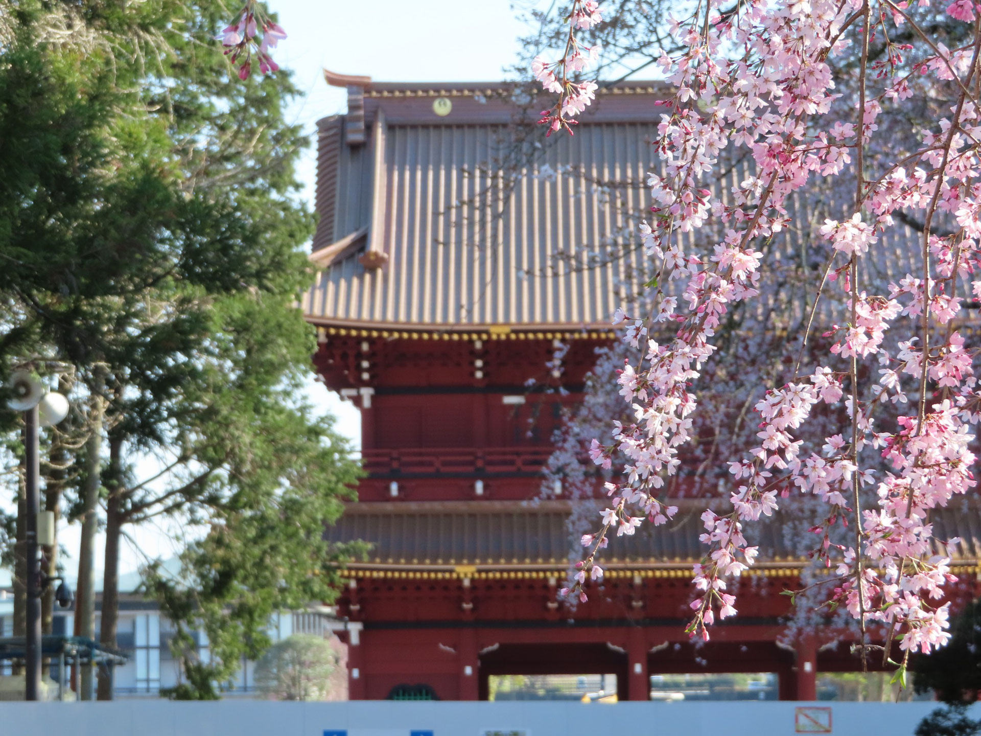 京都要法寺46世日正上人ご真筆ご本尊!日興・日目・ 京都要法寺46世日正上人ご真筆ご本尊!日興・日目・
