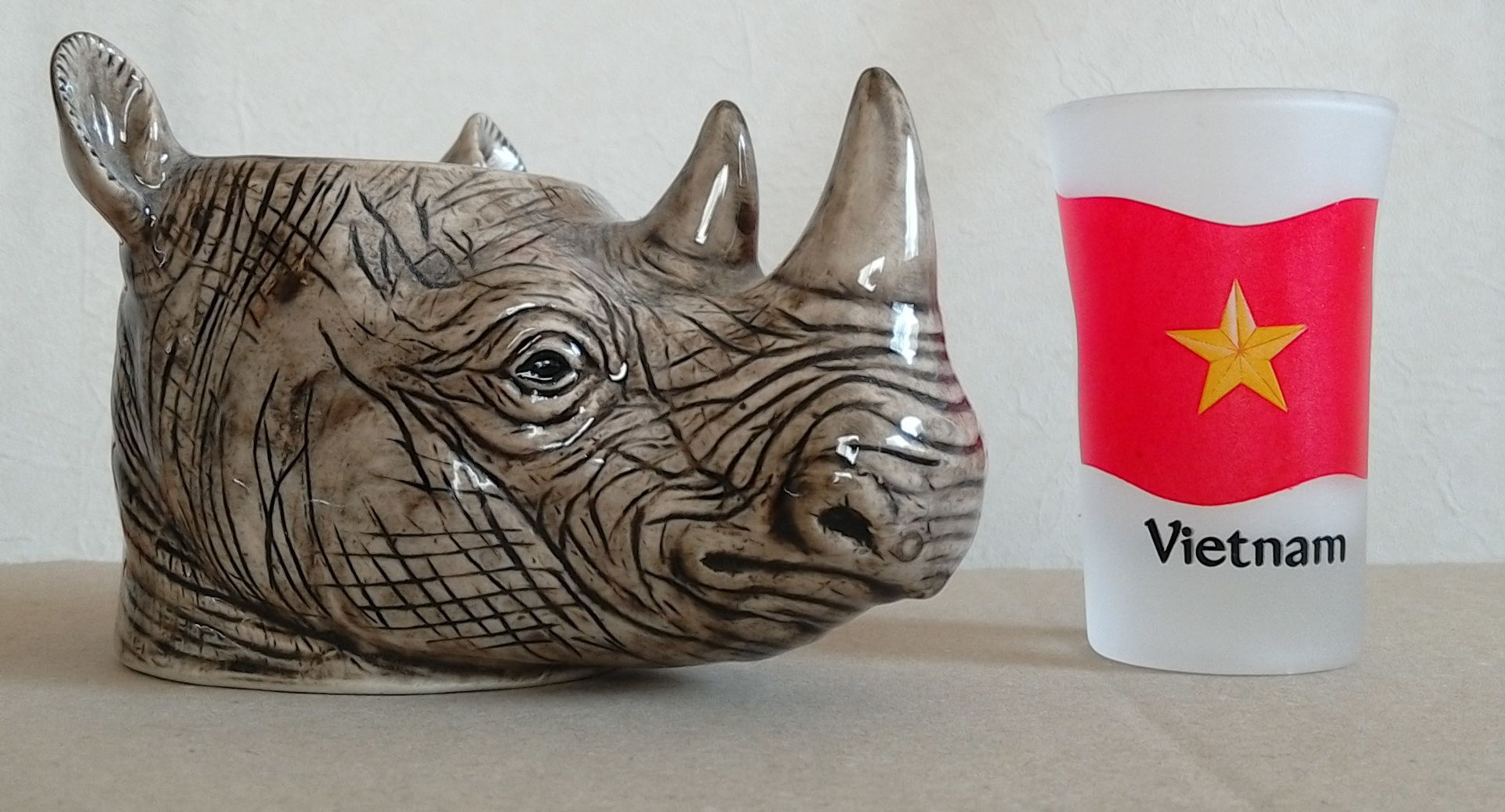 vietnam saves rhinos jimdo